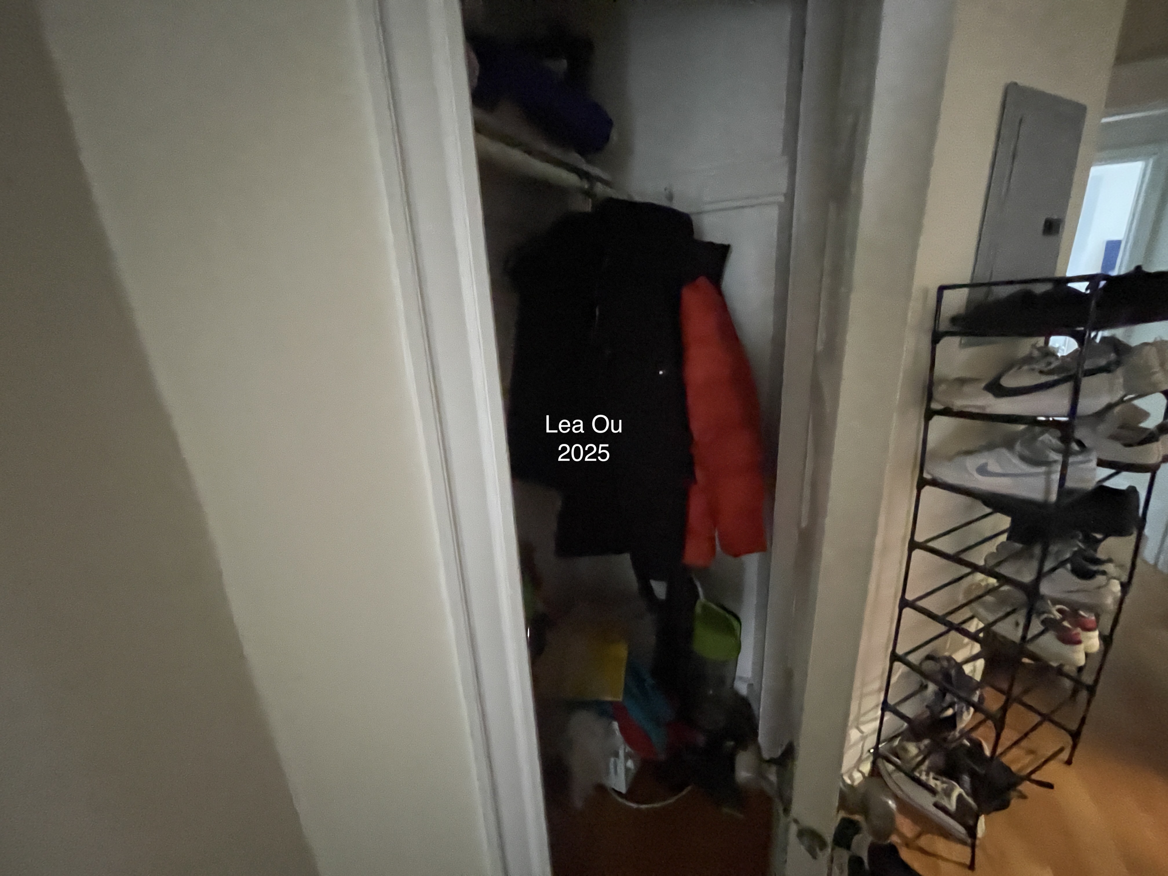 7 Mount Hood Rd, Brighton