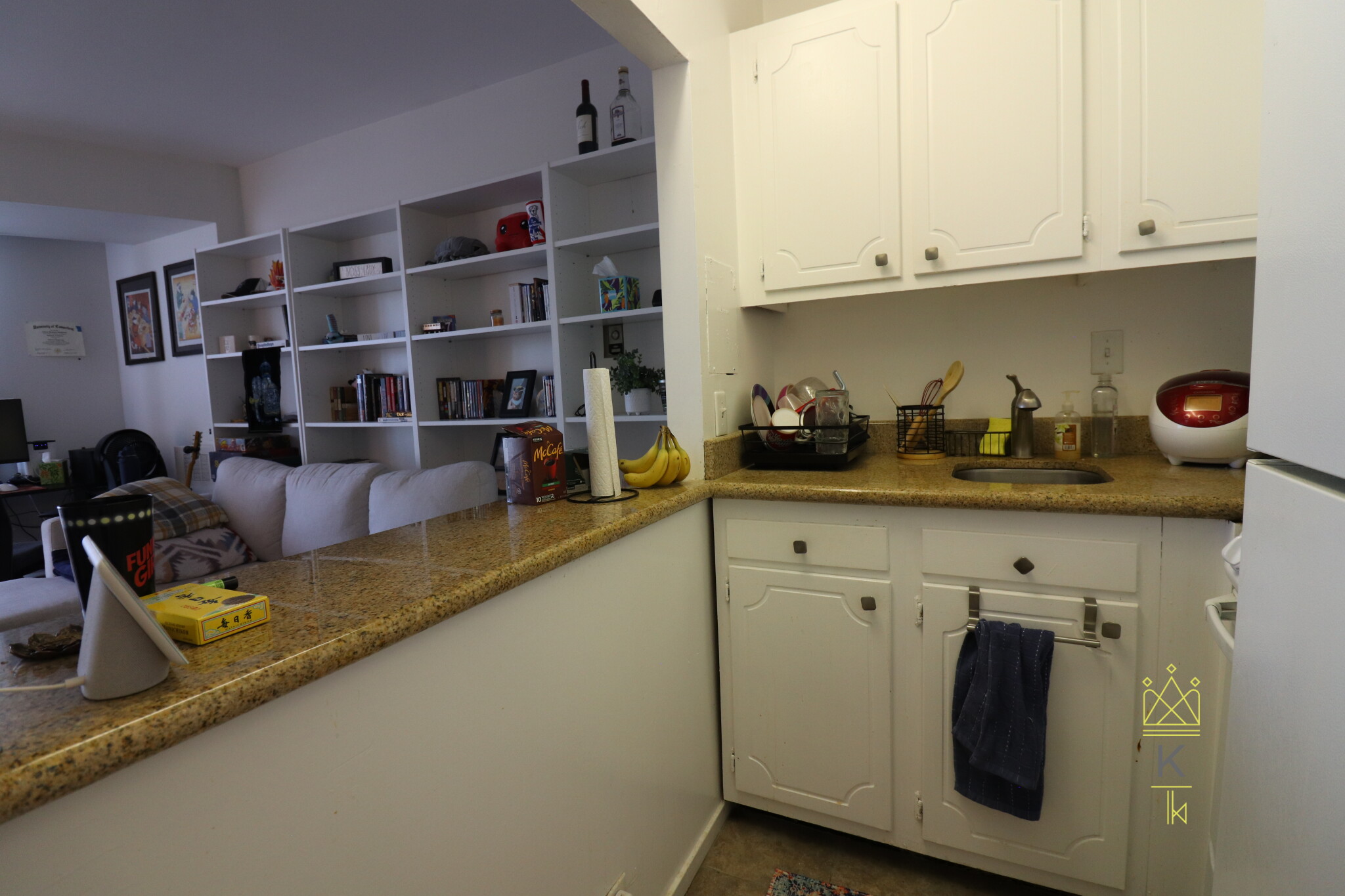 19 Winchester St, North Brookline