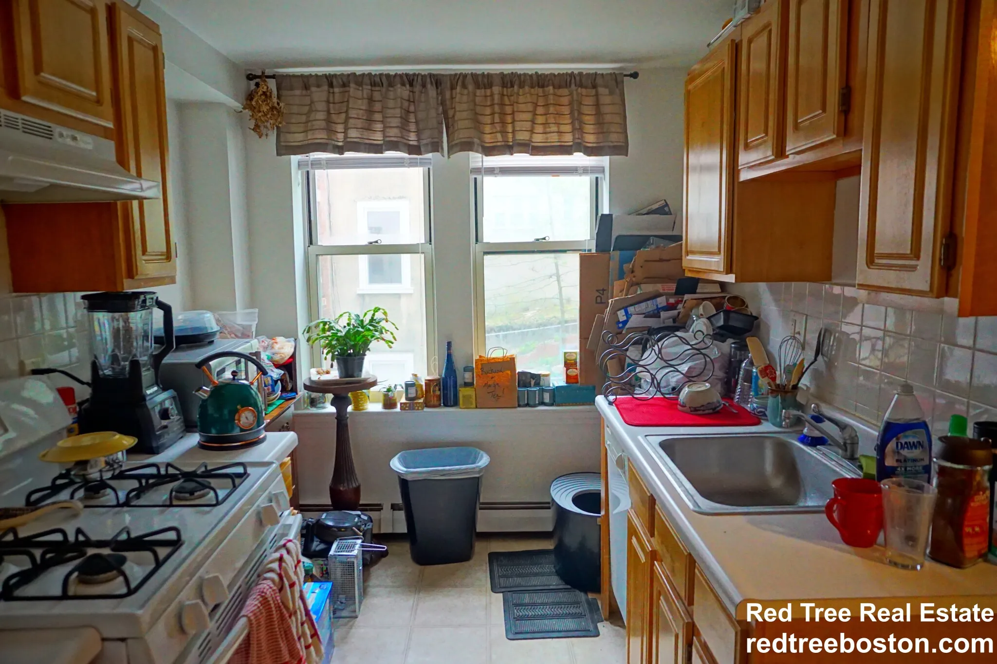 20 Colborne Rd, Brighton