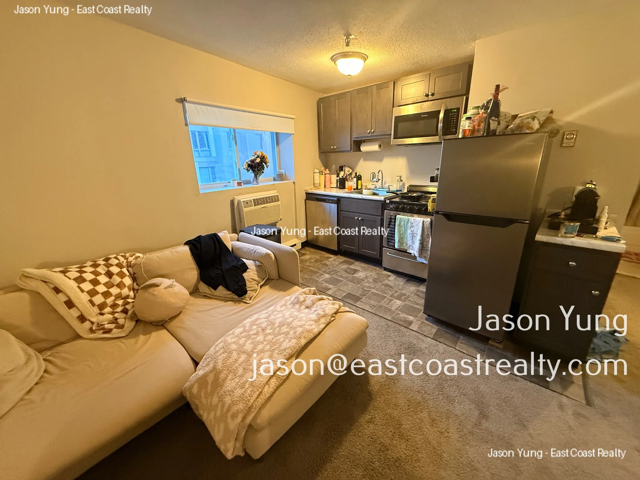 231 Harrison Ave, Chinatown