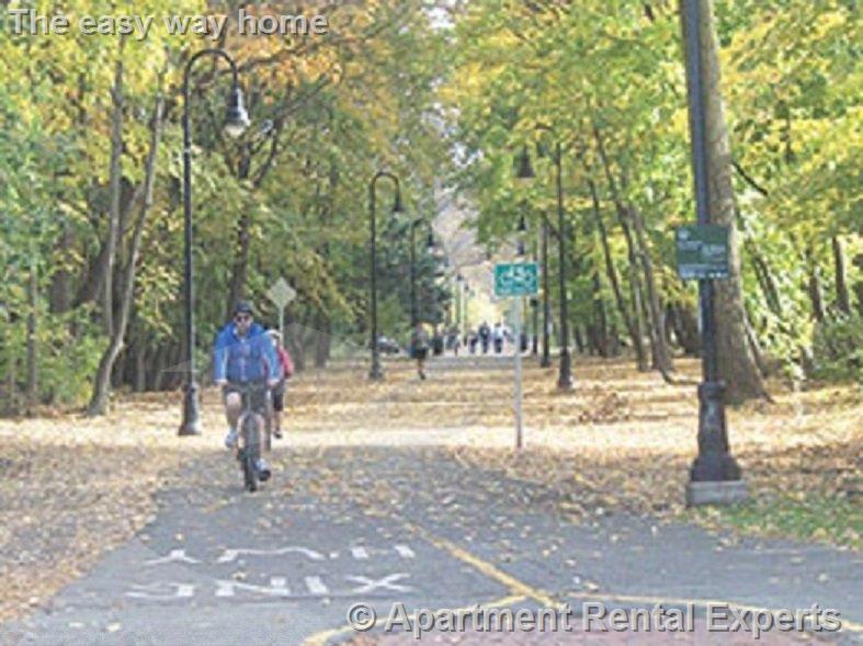 5 Clyde St, Davis Square