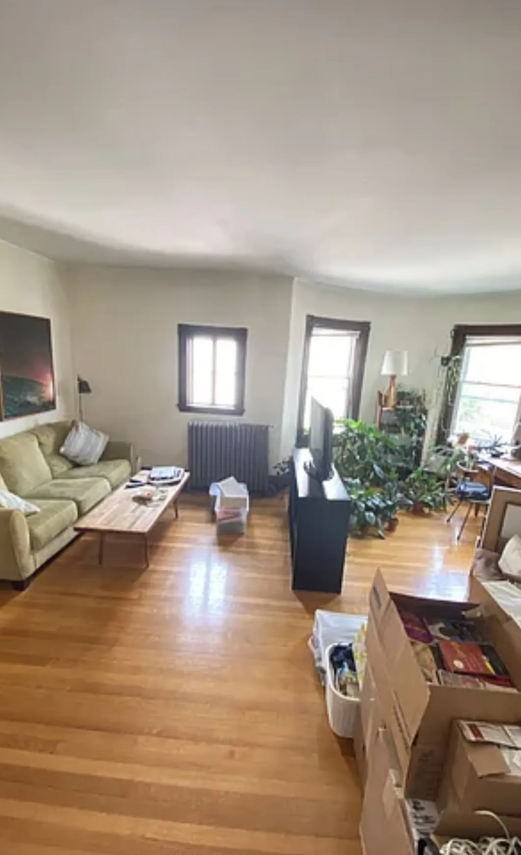 72 Thurston St, Winter Hill