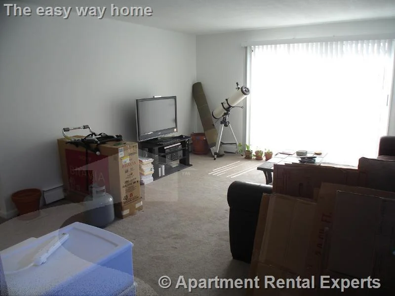 41 Belmont St, Porter Square