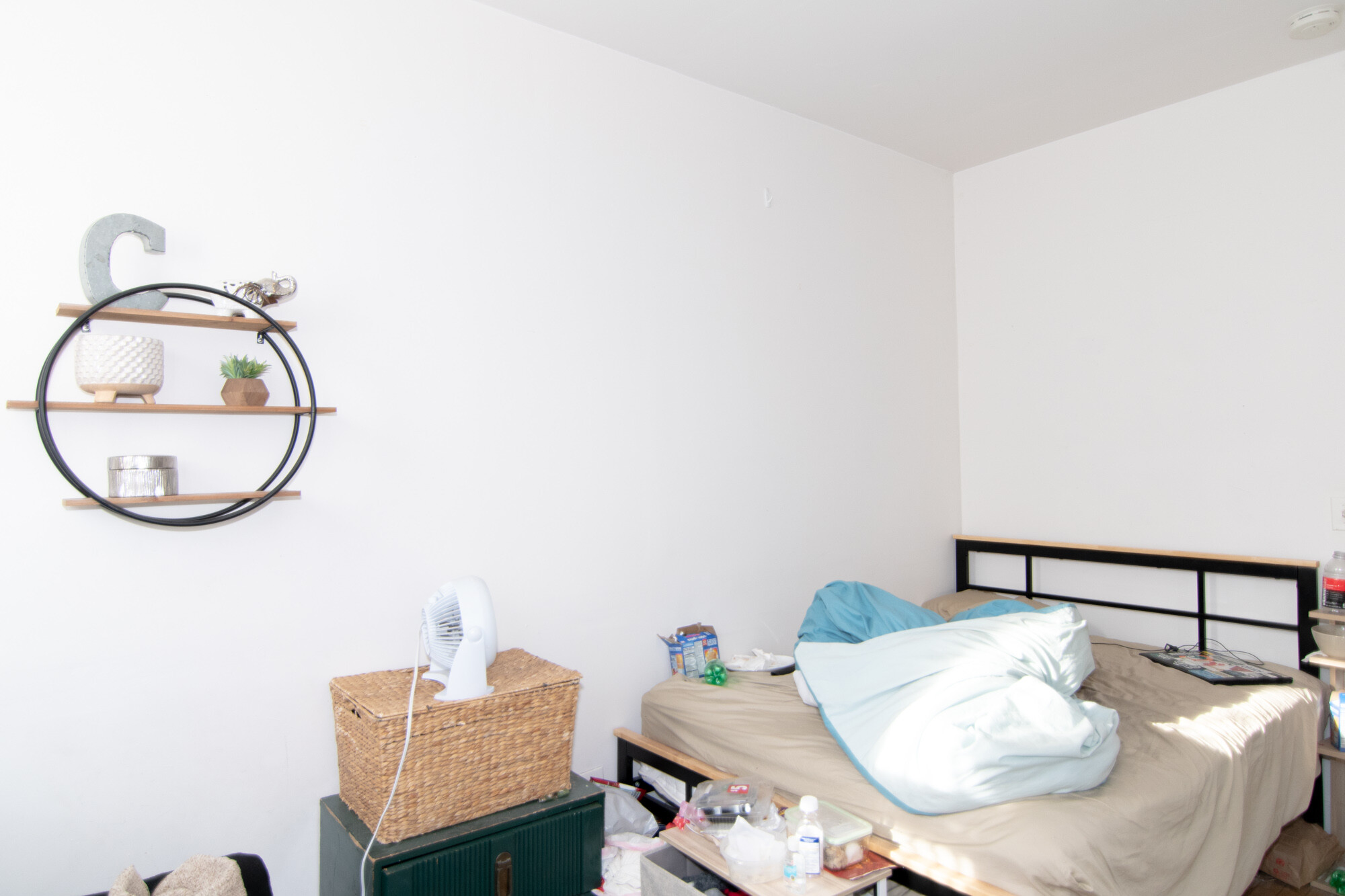 48 Brighton Ave, Brighton