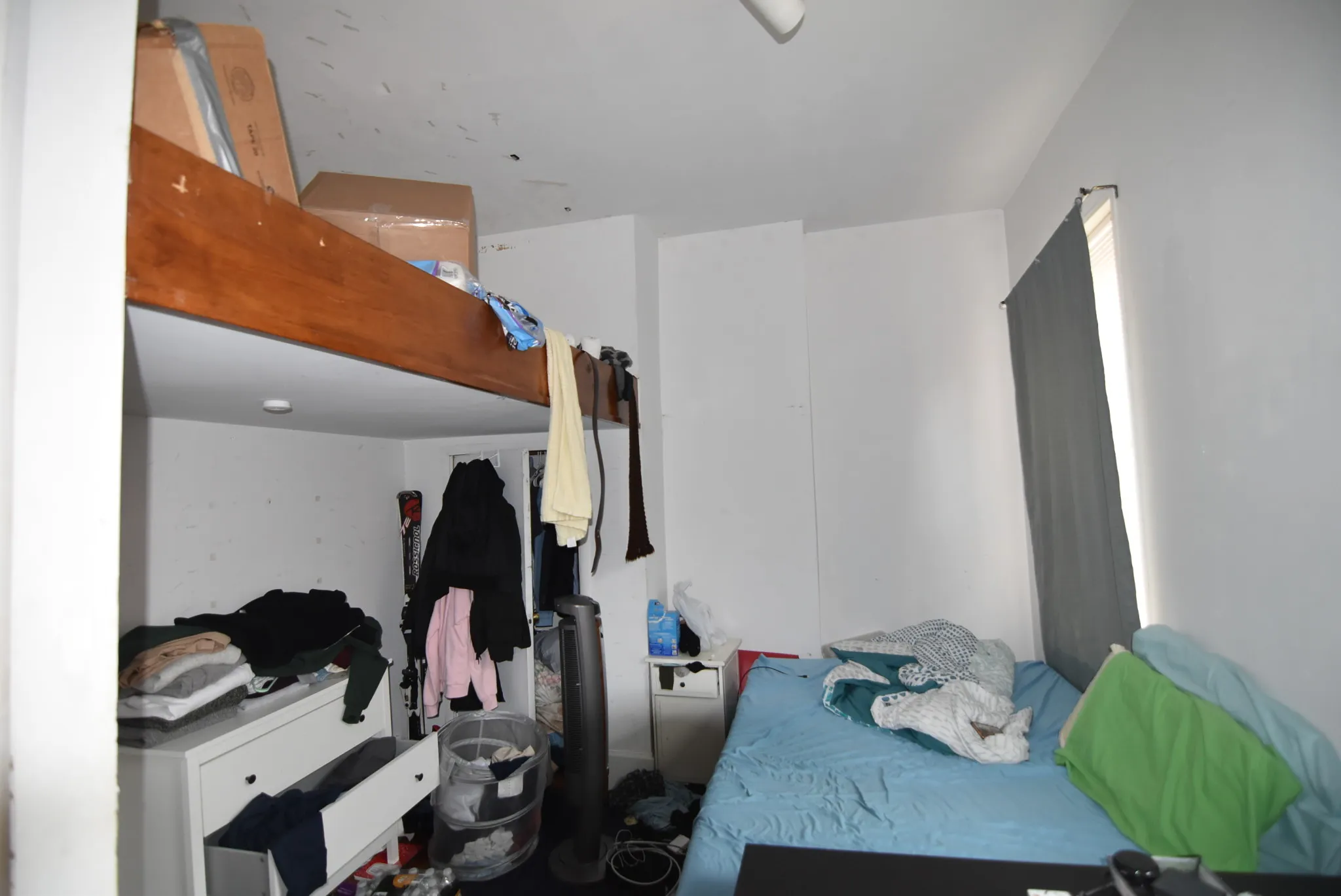 17 Aberdeen St, Fenway