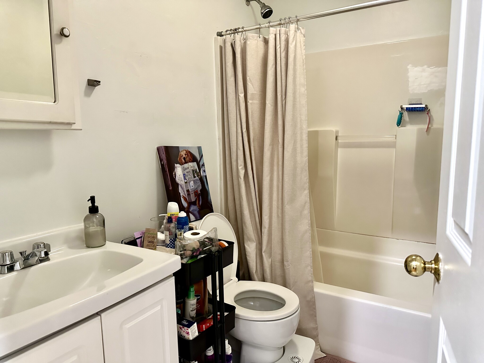 6 Cleveland Pl, North End