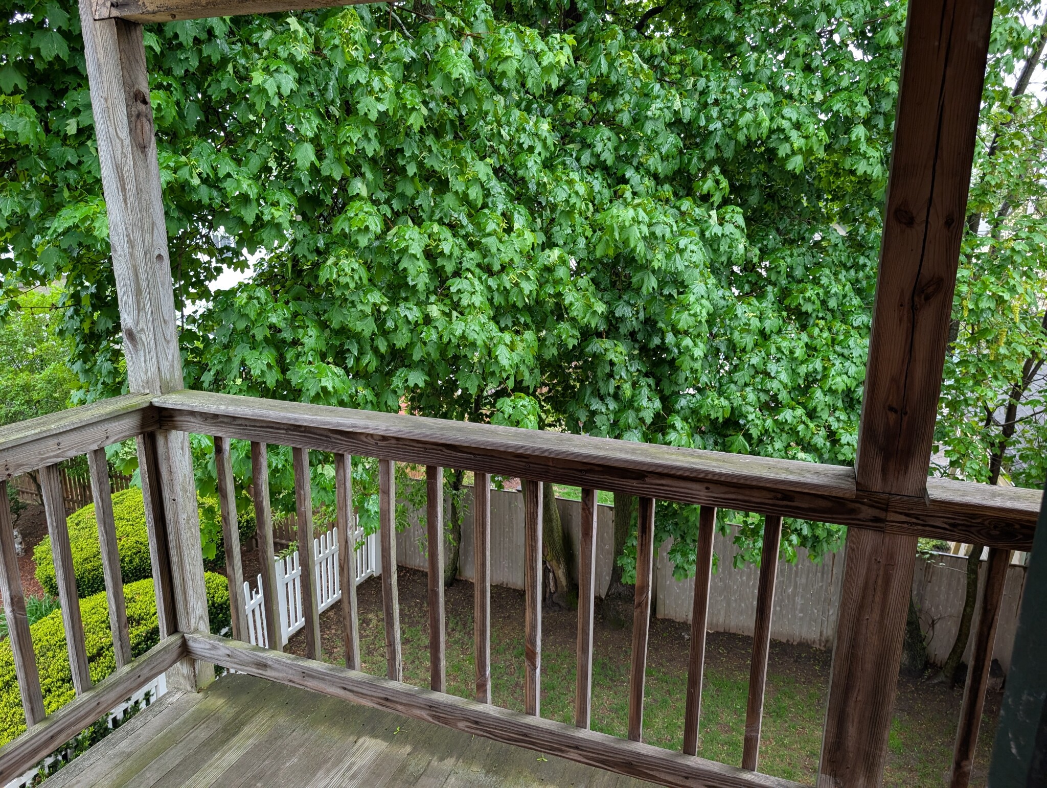 49 Adams St, Medford