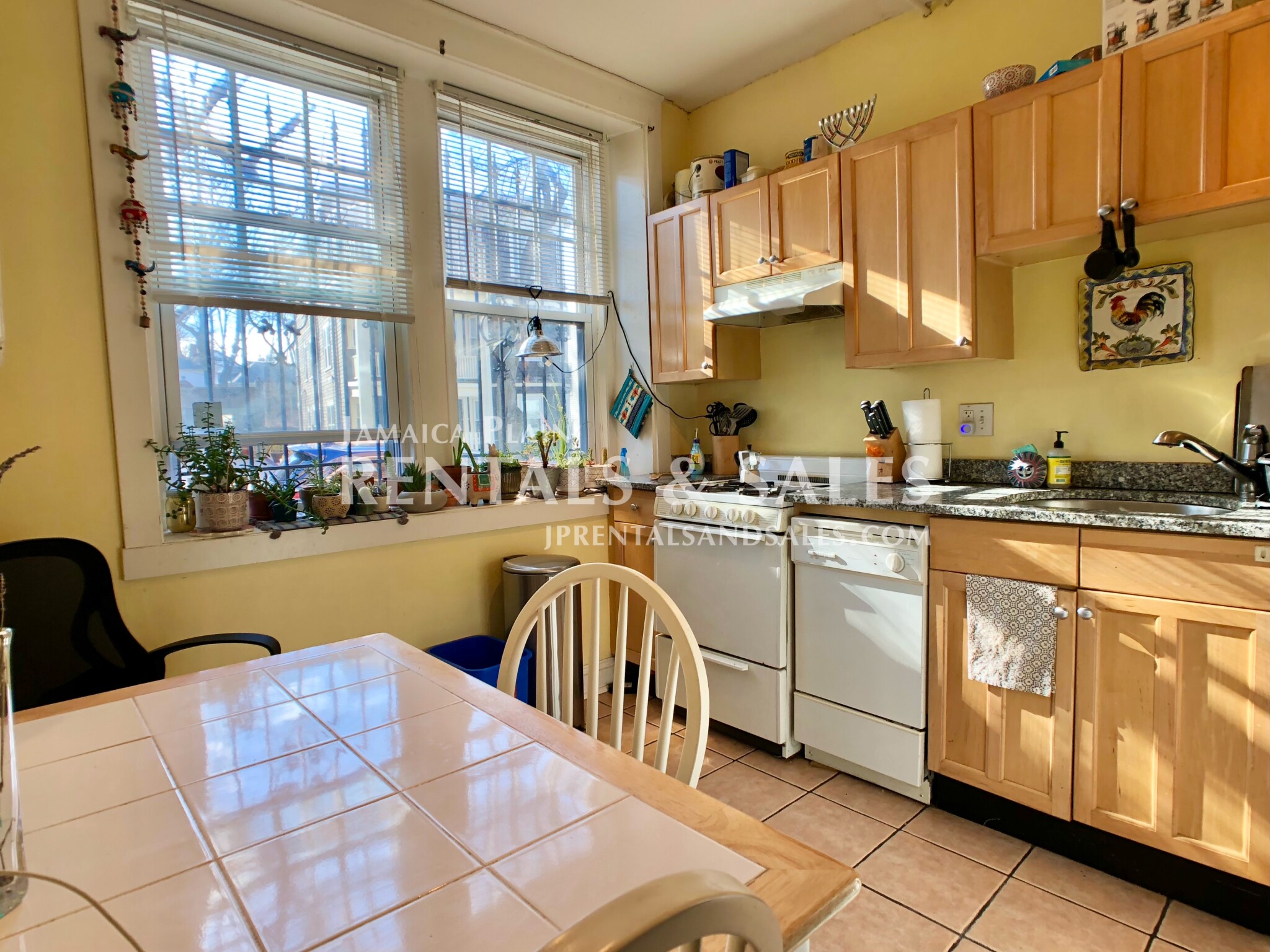 343 South Huntington Ave, Jamaica Plain