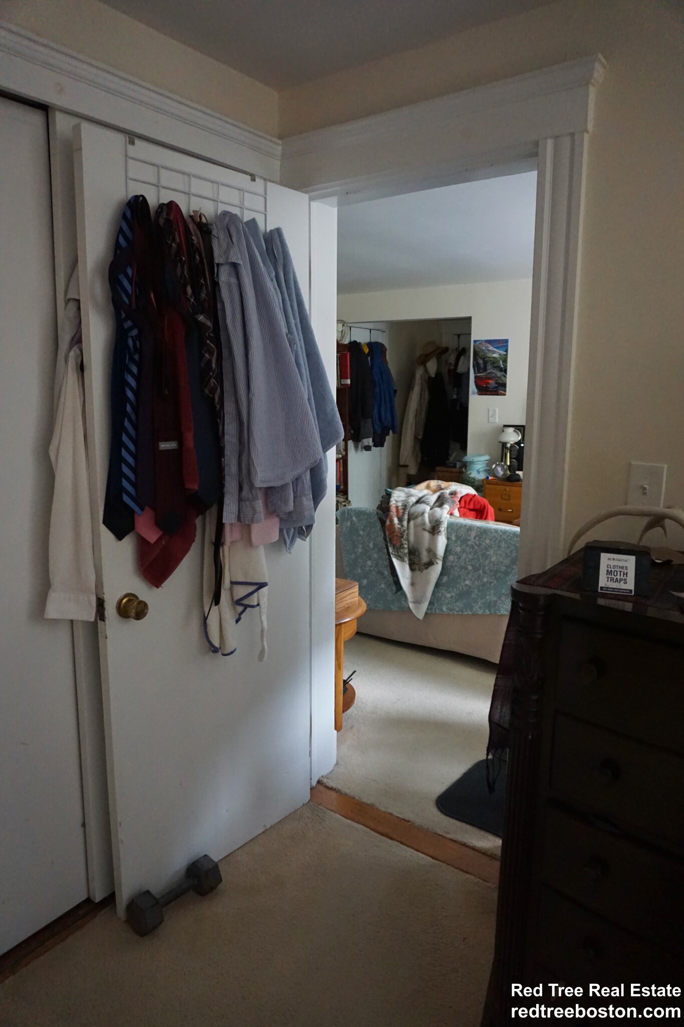 20 Colborne Rd, Brighton