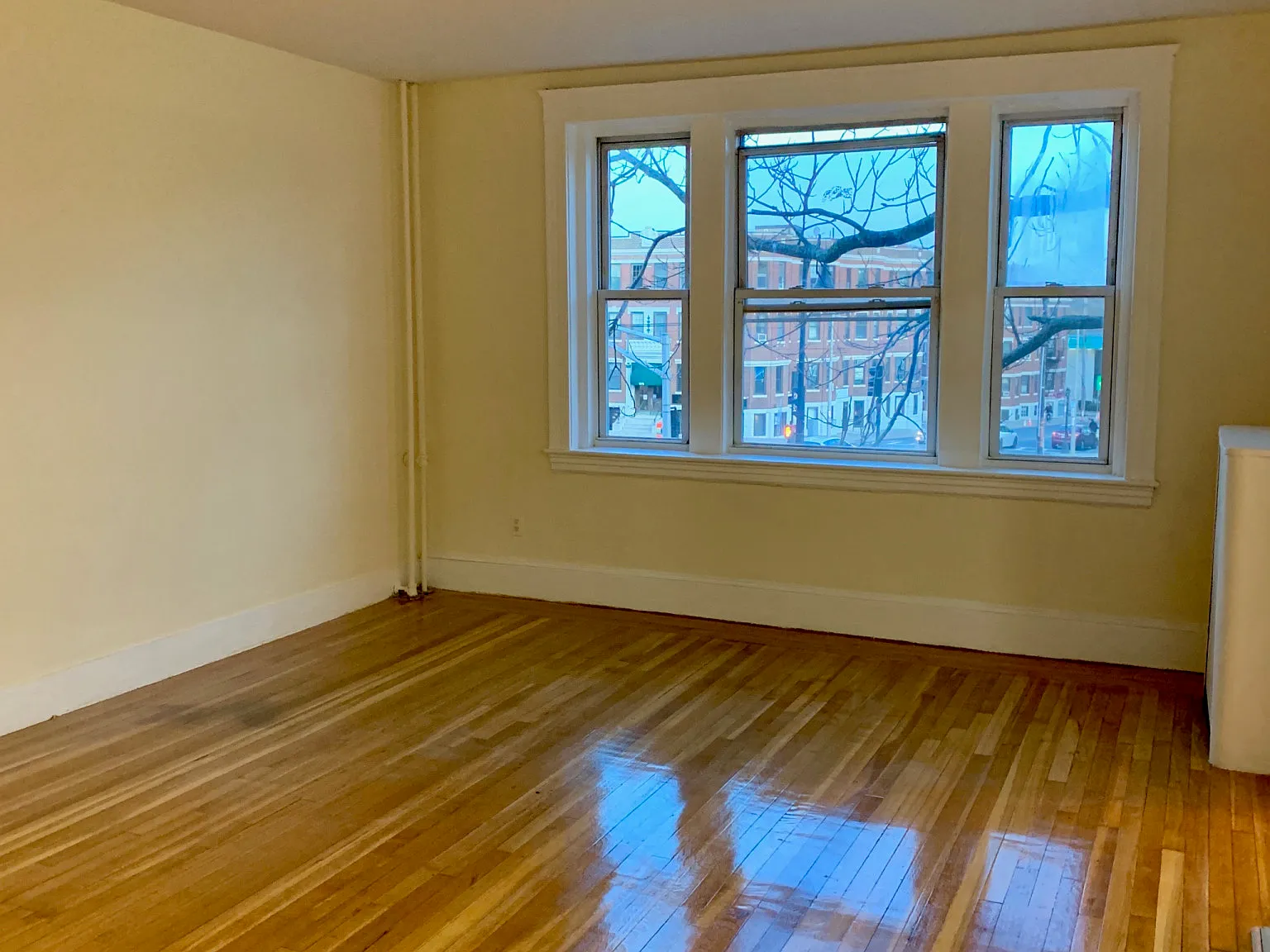 1607 Commonwealth Ave, Brighton