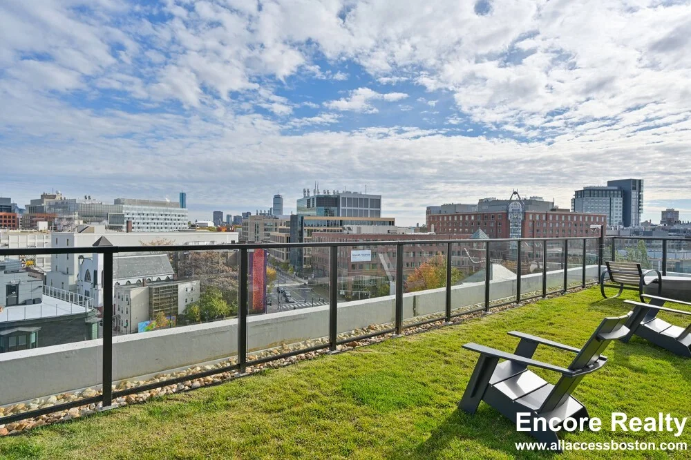 425 Massachusetts Ave, Central Square