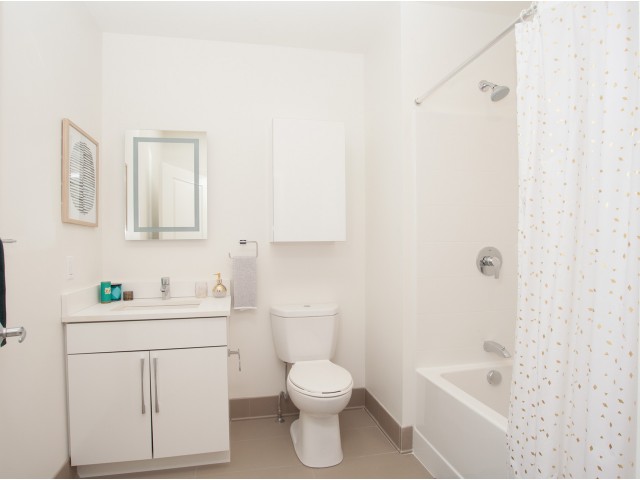 1 bed, 1 bath apartment for rent at 75 Braintree St Unit 206, Allston — photo 3 of 11