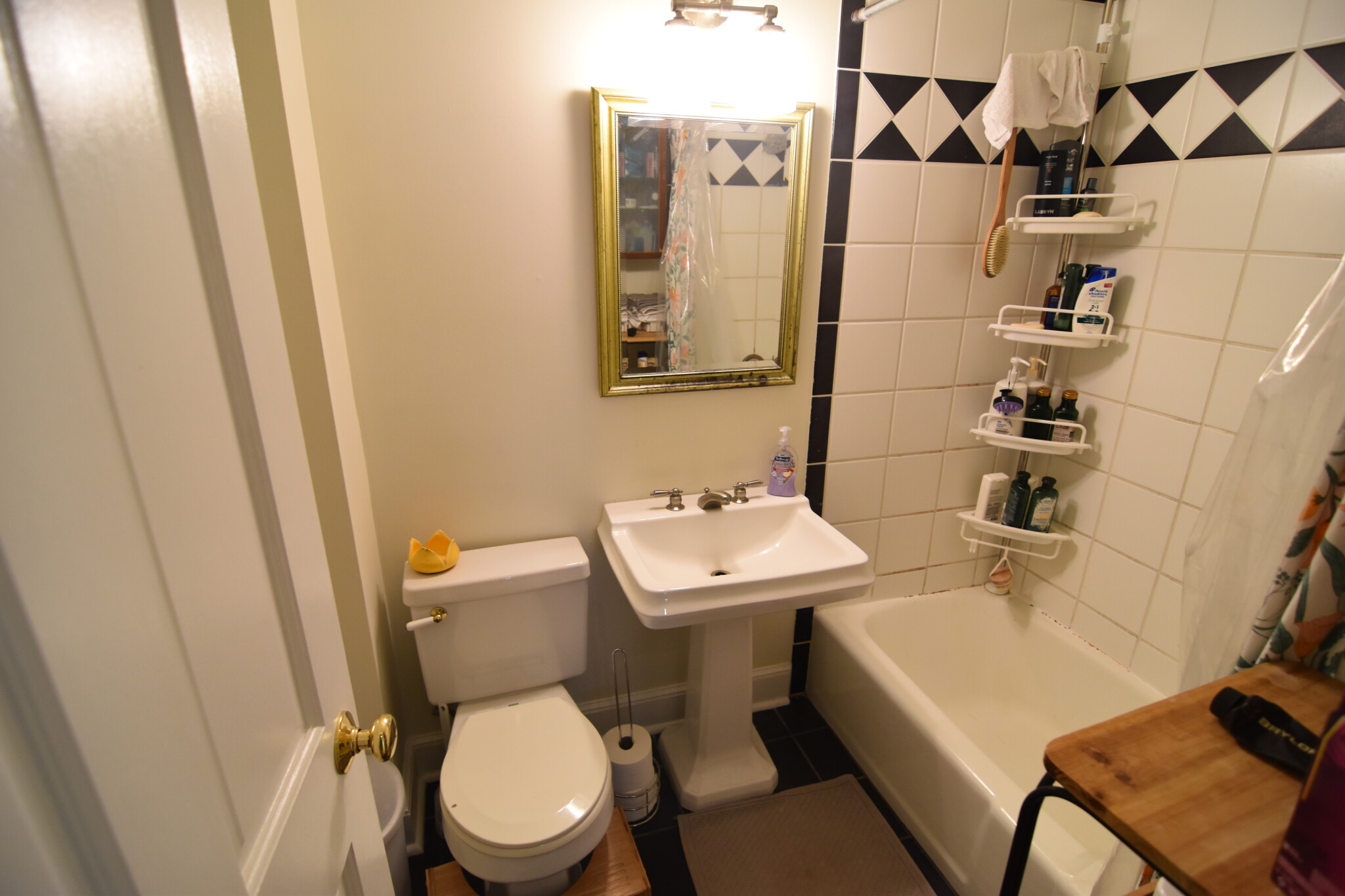 19 Craig Pl, Coolidge Corner