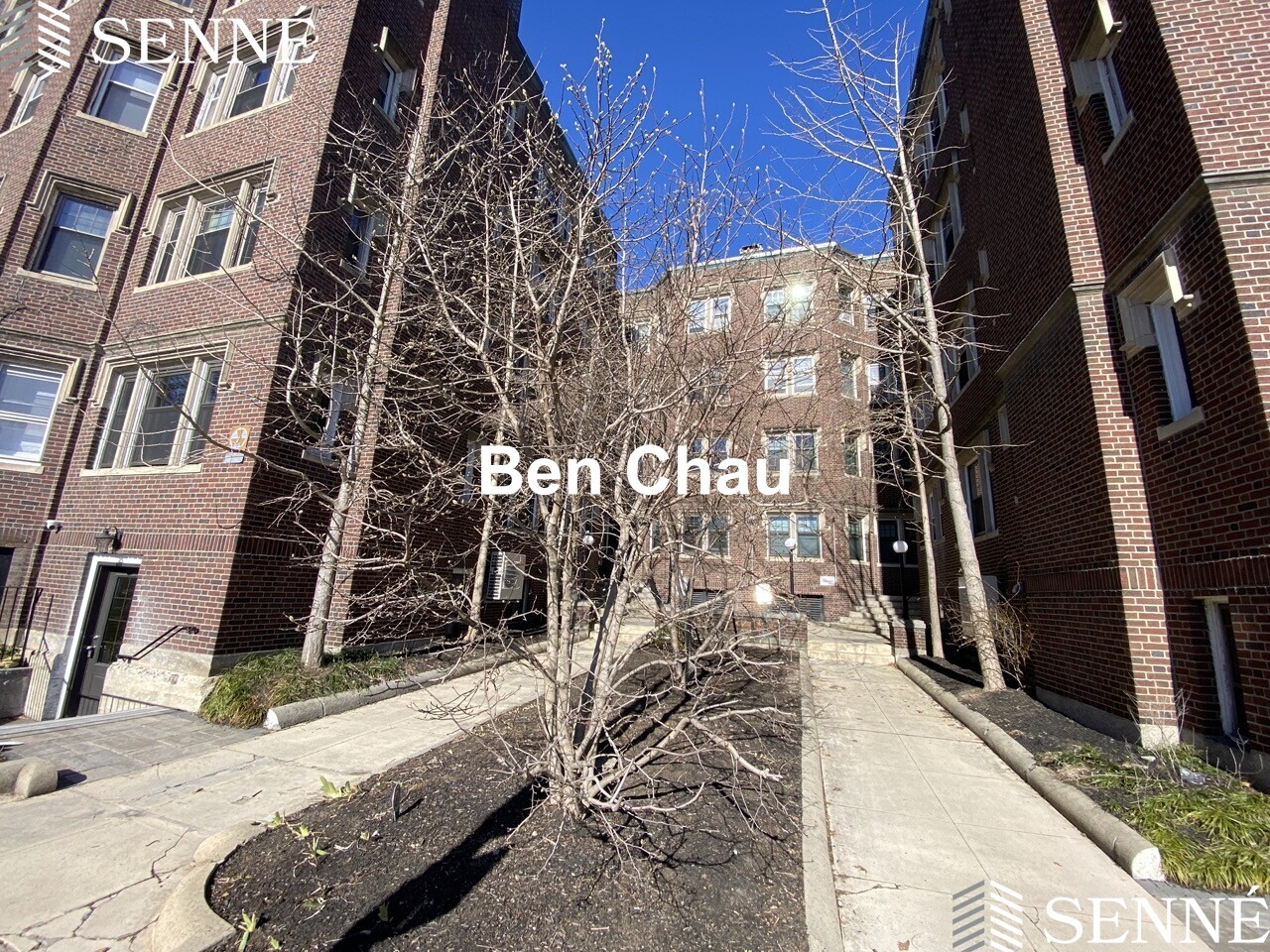 3 Linnaean St, Neighborhood Nine