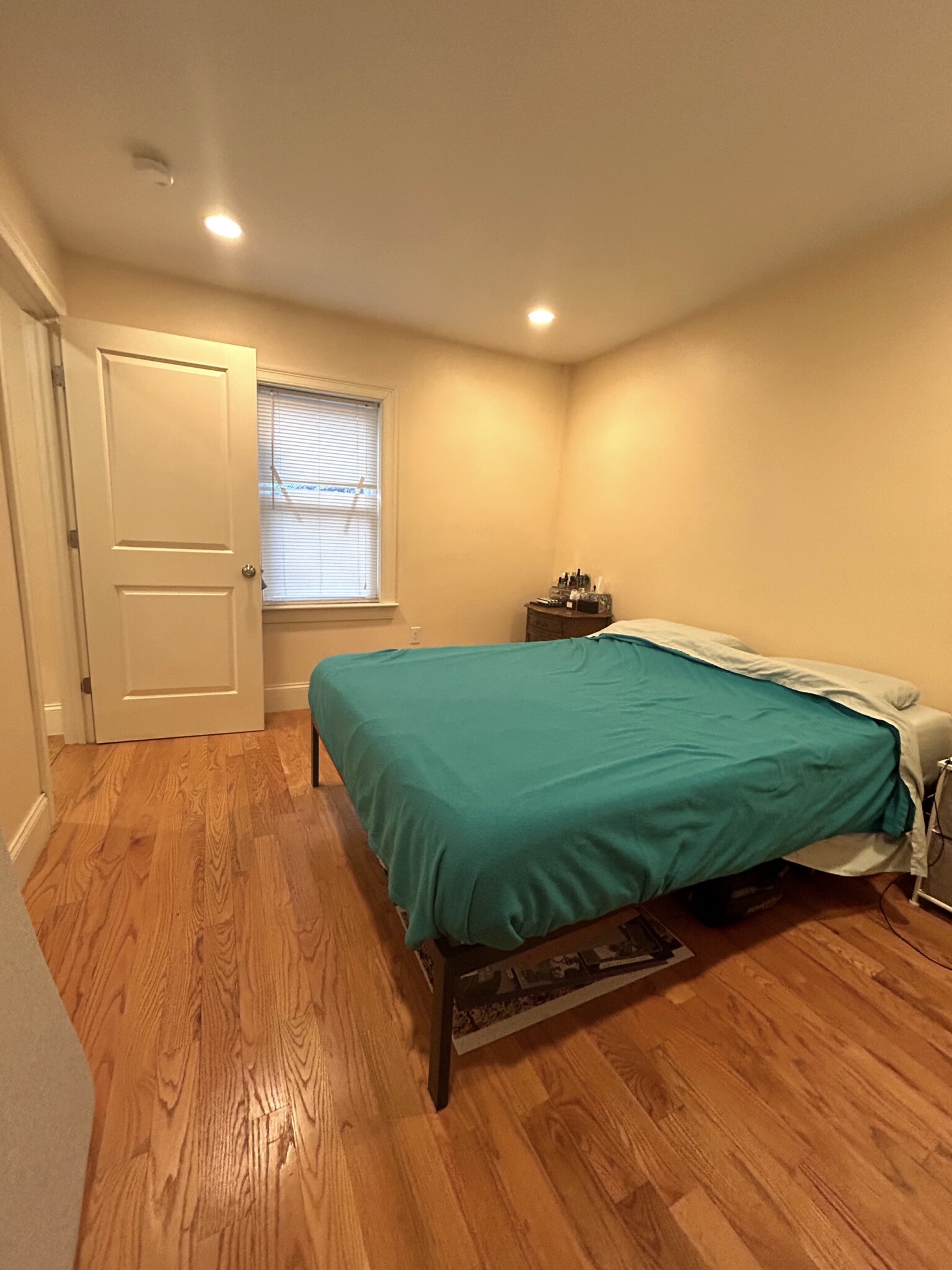 19 Chestnut Hill Ave, Brighton