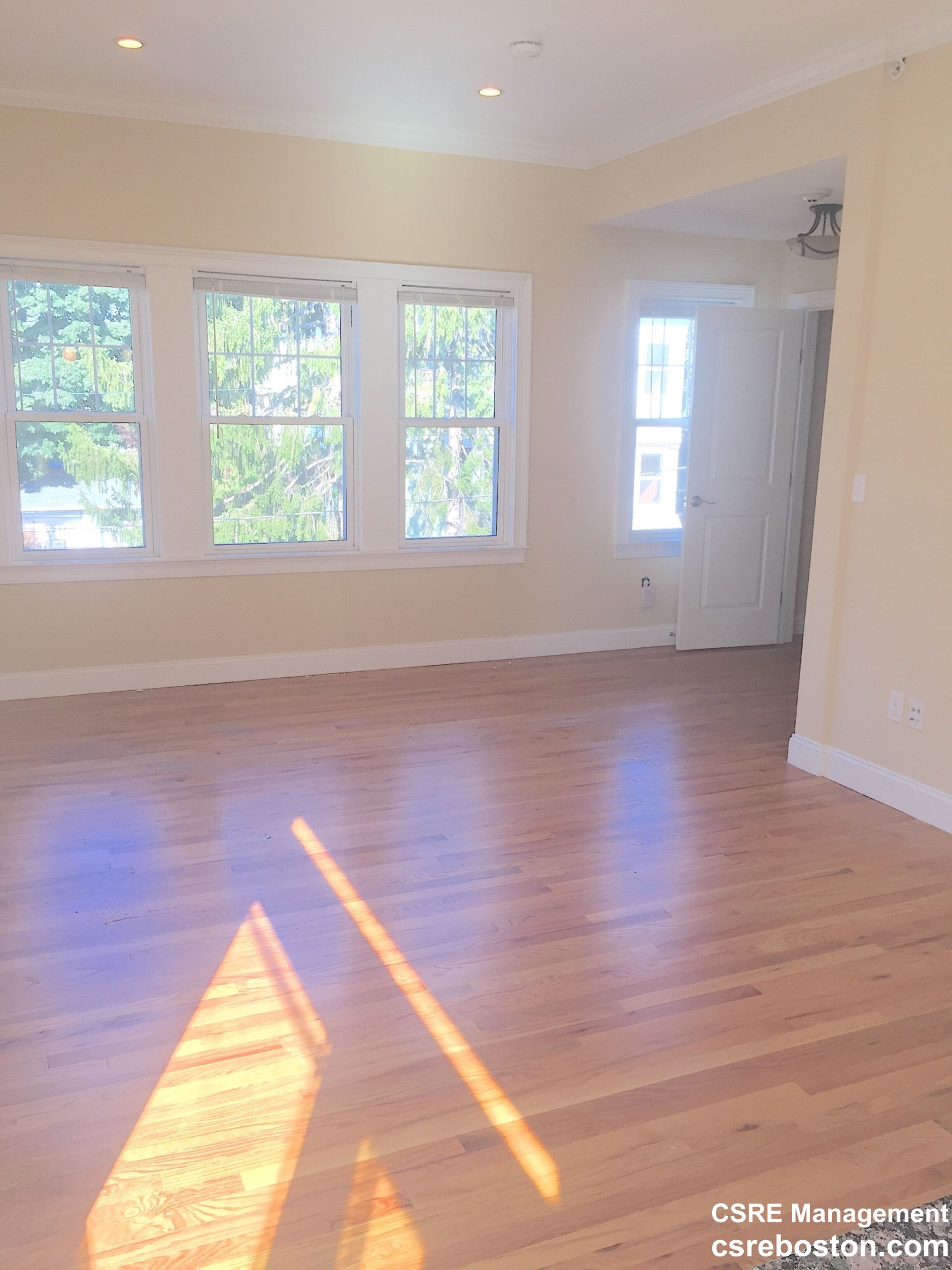 75 Beechcroft St, Brighton