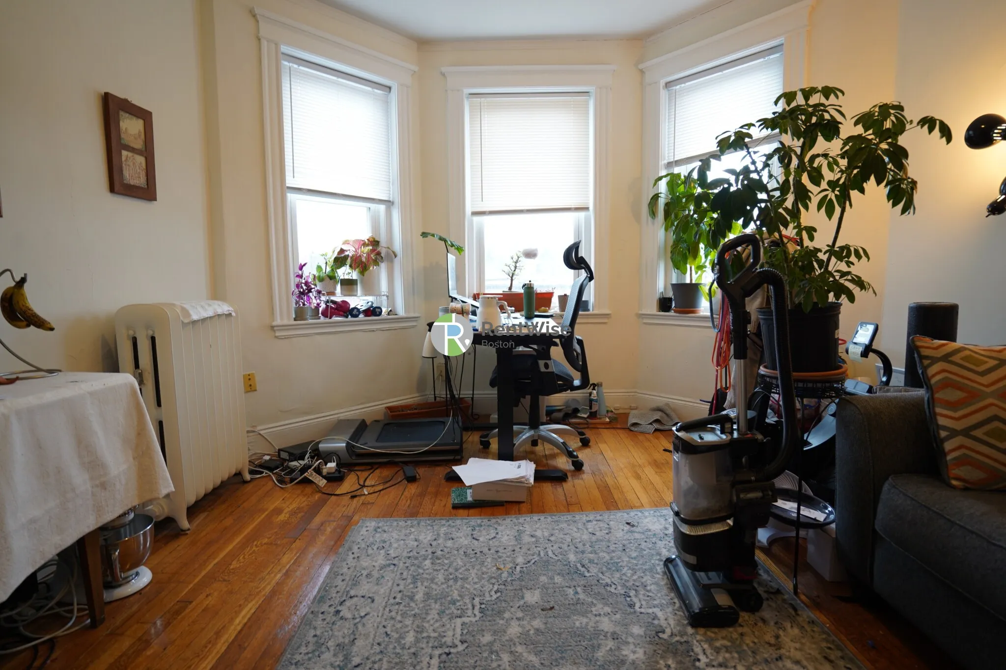 14 Orkney Rd, Brighton