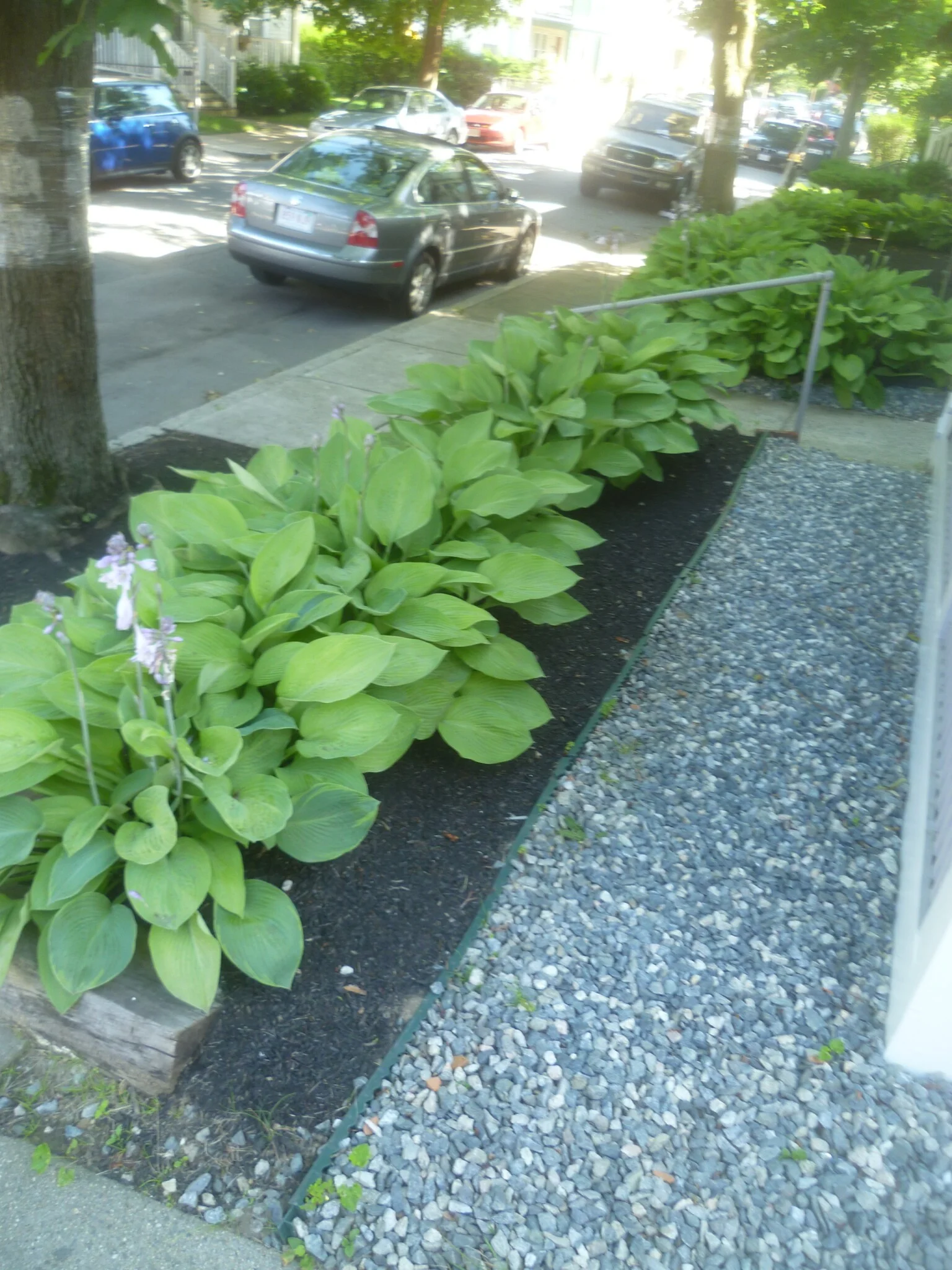 56 Hobson St, Oak Square