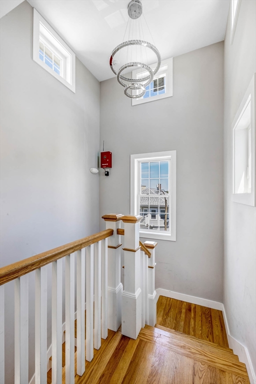 8 W Bellflower St, Dorchester