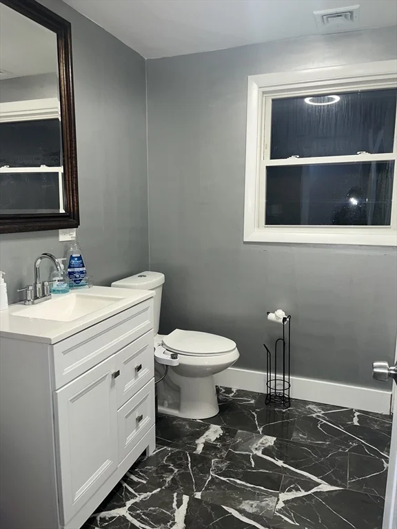 52 Troy Ln, Waban
