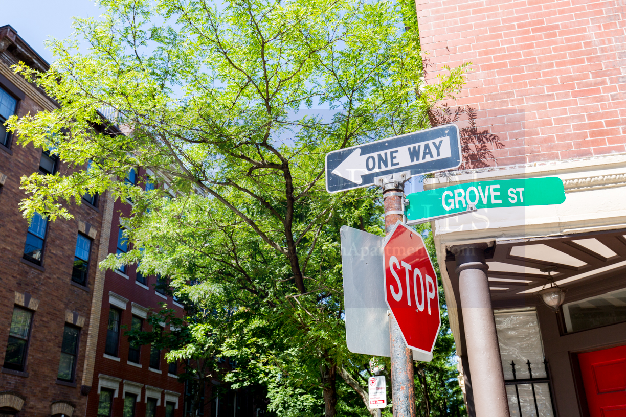 1 bed, 1 bath apartment for rent at 5 Grove St Unit 7, Beacon Hill — photo 13 of 15