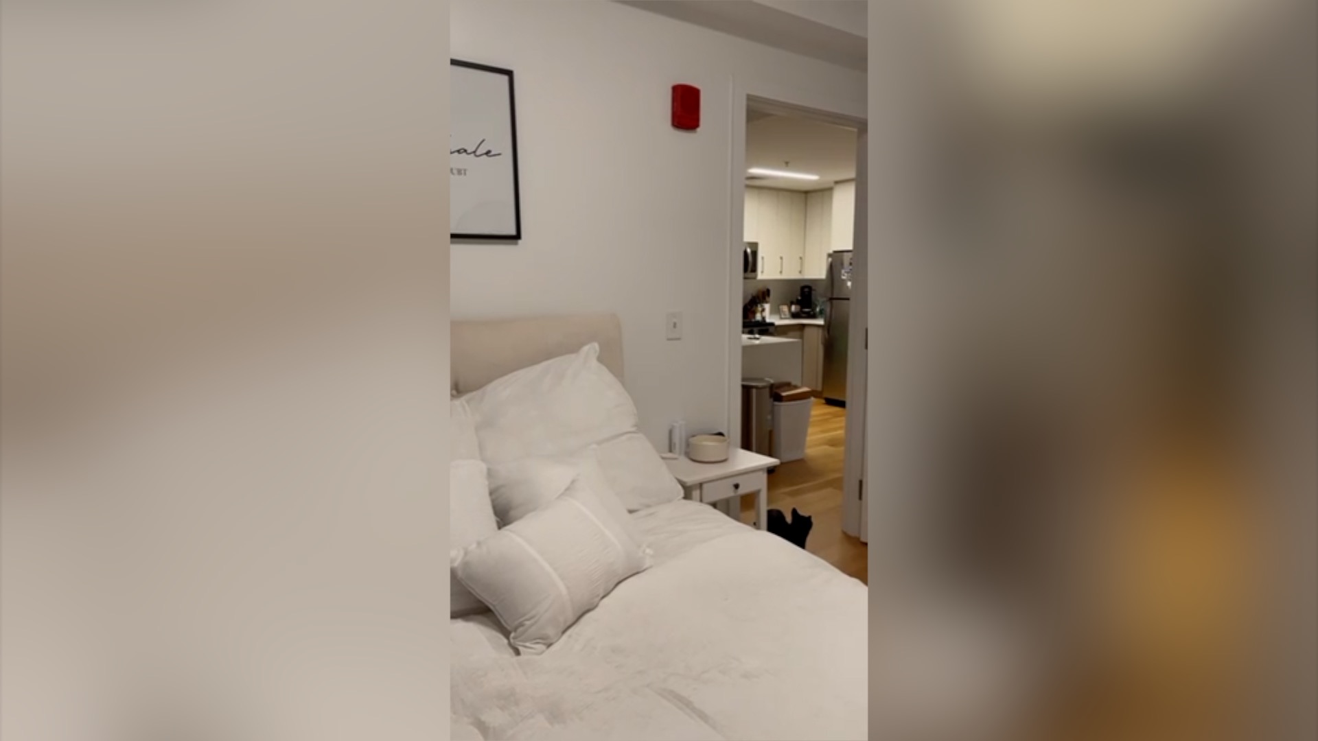 1 bed, 1 bath apartment for rent at 150 Camden St Unit 103, South End — photo 6 of 8