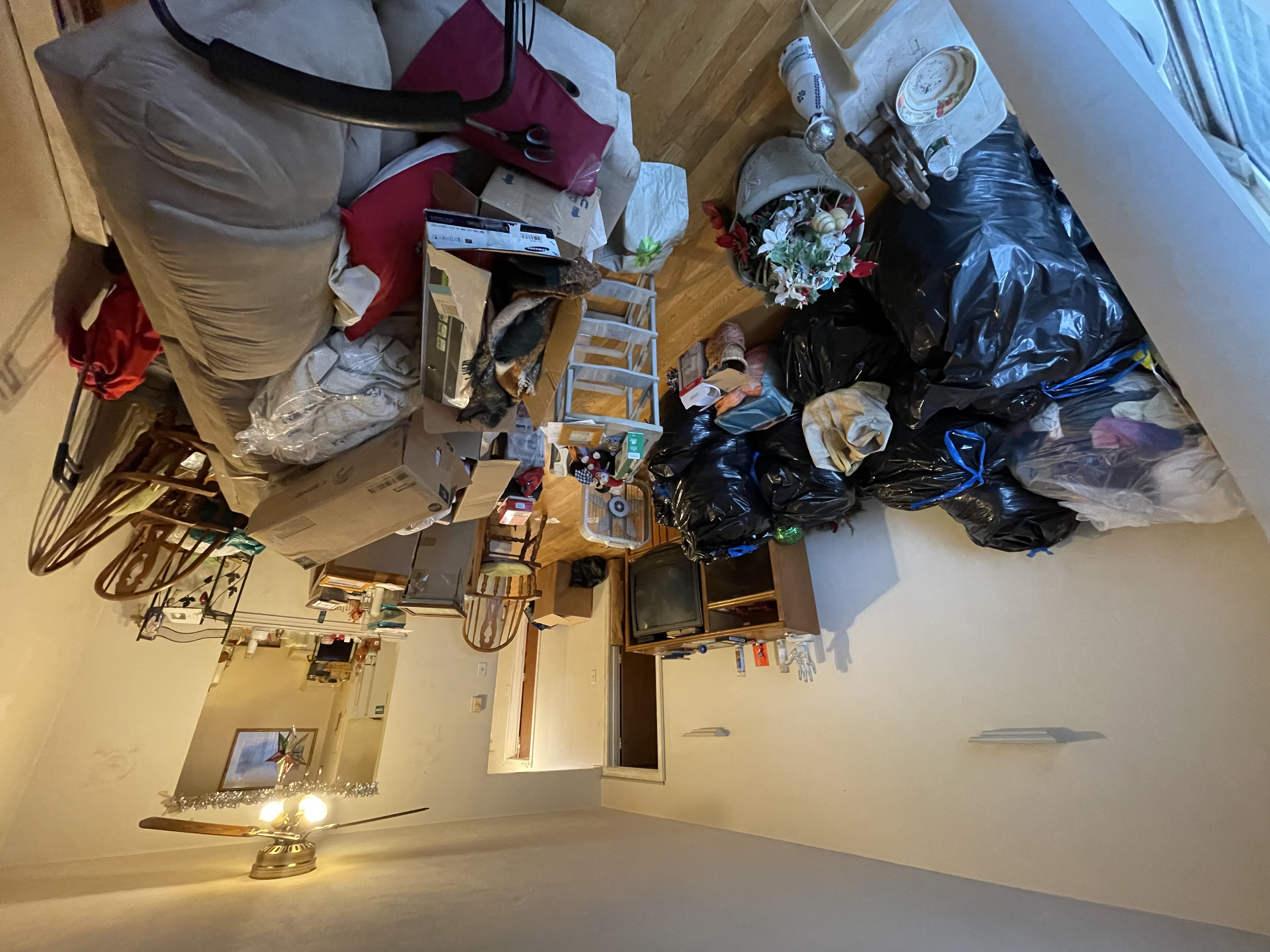 1 bed, 1 bath apartment for rent at 1799 Centre St Unit 24, West Roxbury — photo 6 of 10