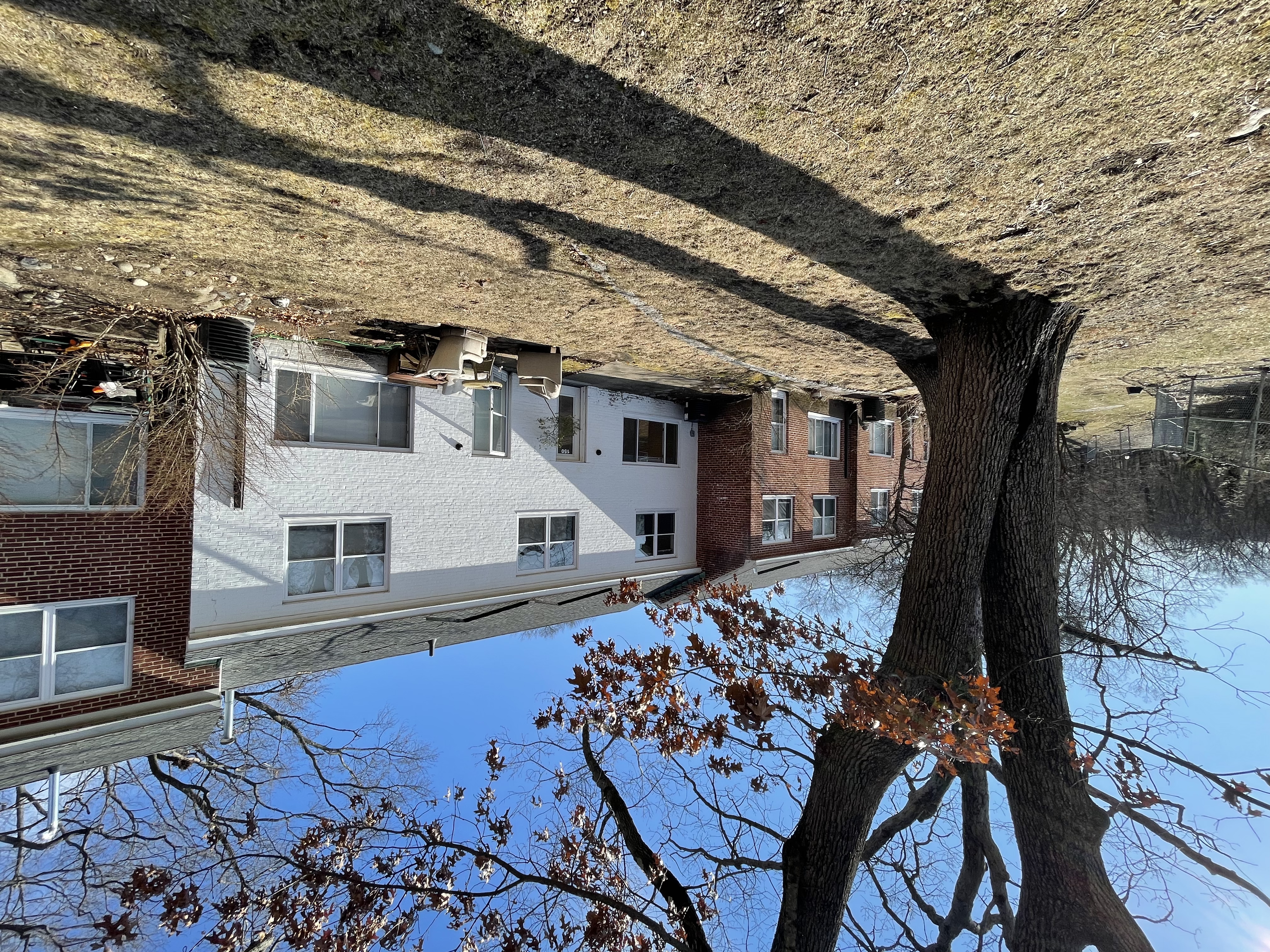 2 bed, 1 bath apartment for rent at 150 Sherman Rd Unit 0, Chestnut Hill — photo 6 of 18