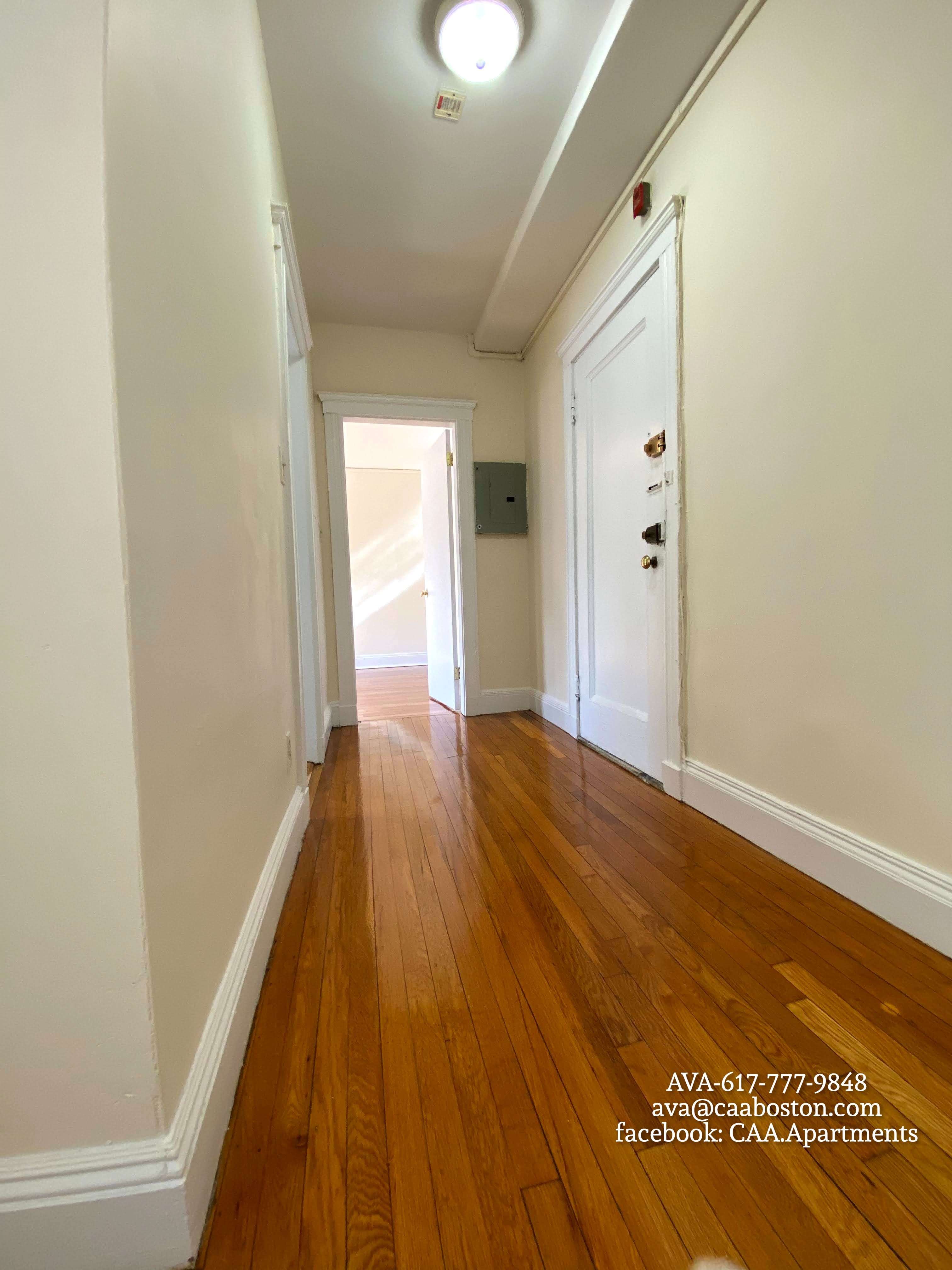 1 bed, 1 bath apartment for rent at 135 Washington St Unit 22, Brighton — photo 3 of 7