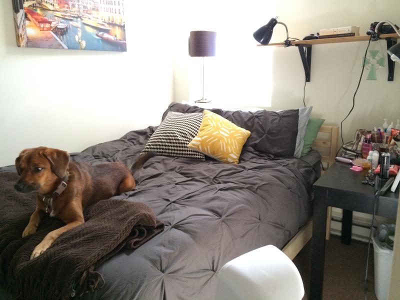 2.5 bed, 1 bath apartment for rent at 1209 Boylston St Unit 101, Fenway — photo 6 of 6