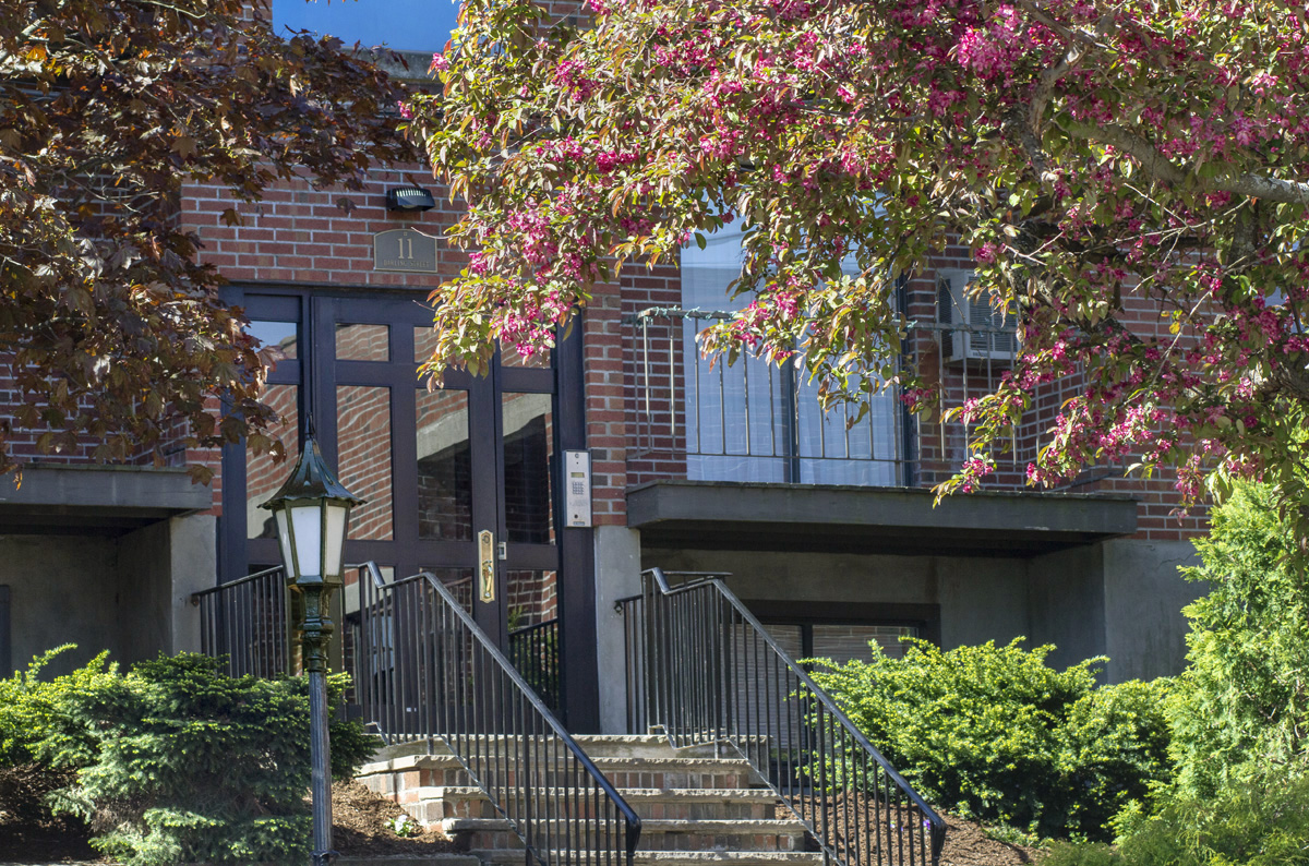 2 bed, 1 bath apartment for rent at 11 Darling St Unit 6, Mission Hill — photo 6 of 7