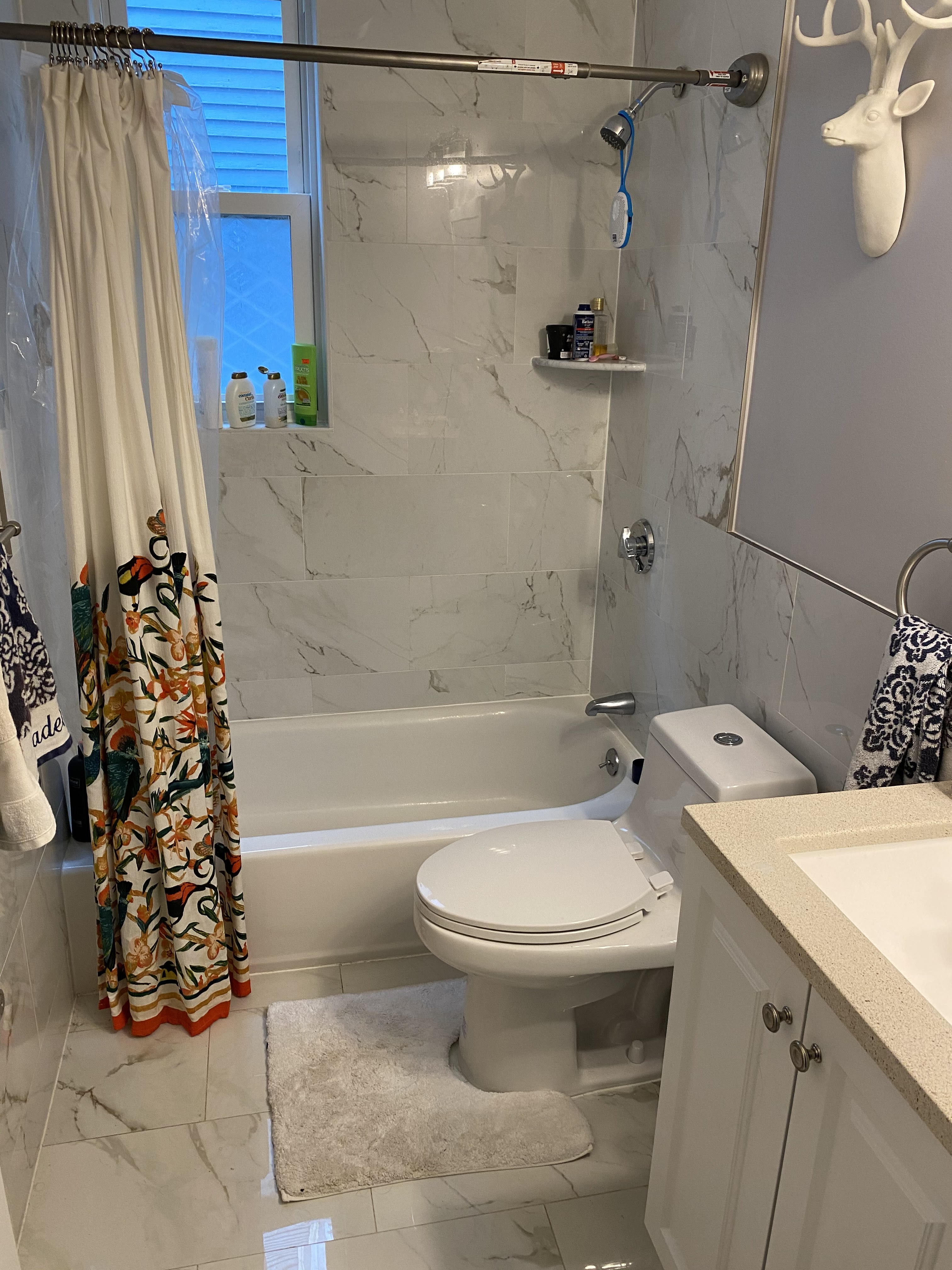 1 bed, 1 bath apartment for rent at 13 Spalding St Unit 1, Jamaica Plain — photo 5 of 24