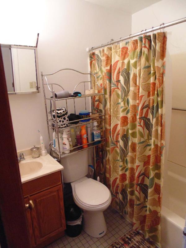 1 bed, 1 bath apartment for rent at 63 Huntington Ave Unit 5, Jamaica Plain — photo 6 of 6