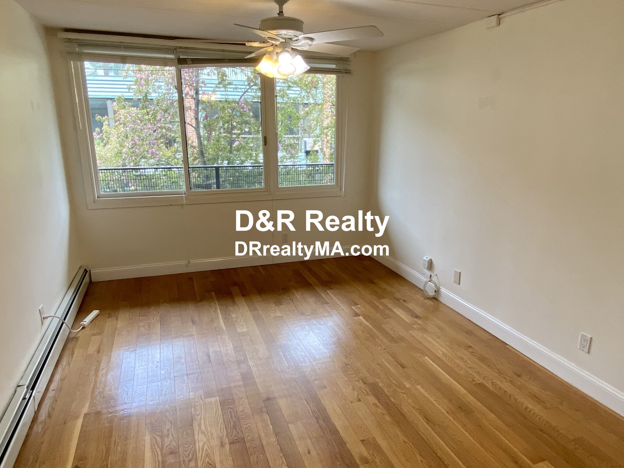 2 bed, 1.5 bath apartment for rent at 345 Harvard St Unit 2D, Harvard Square — photo 5 of 14
