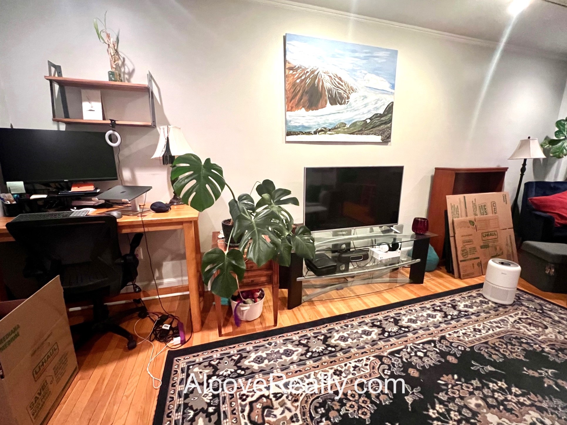 1 bed, 1 bath apartment for rent at 54 Concord Ave Unit 34, Observatory Hill — photo 6 of 14