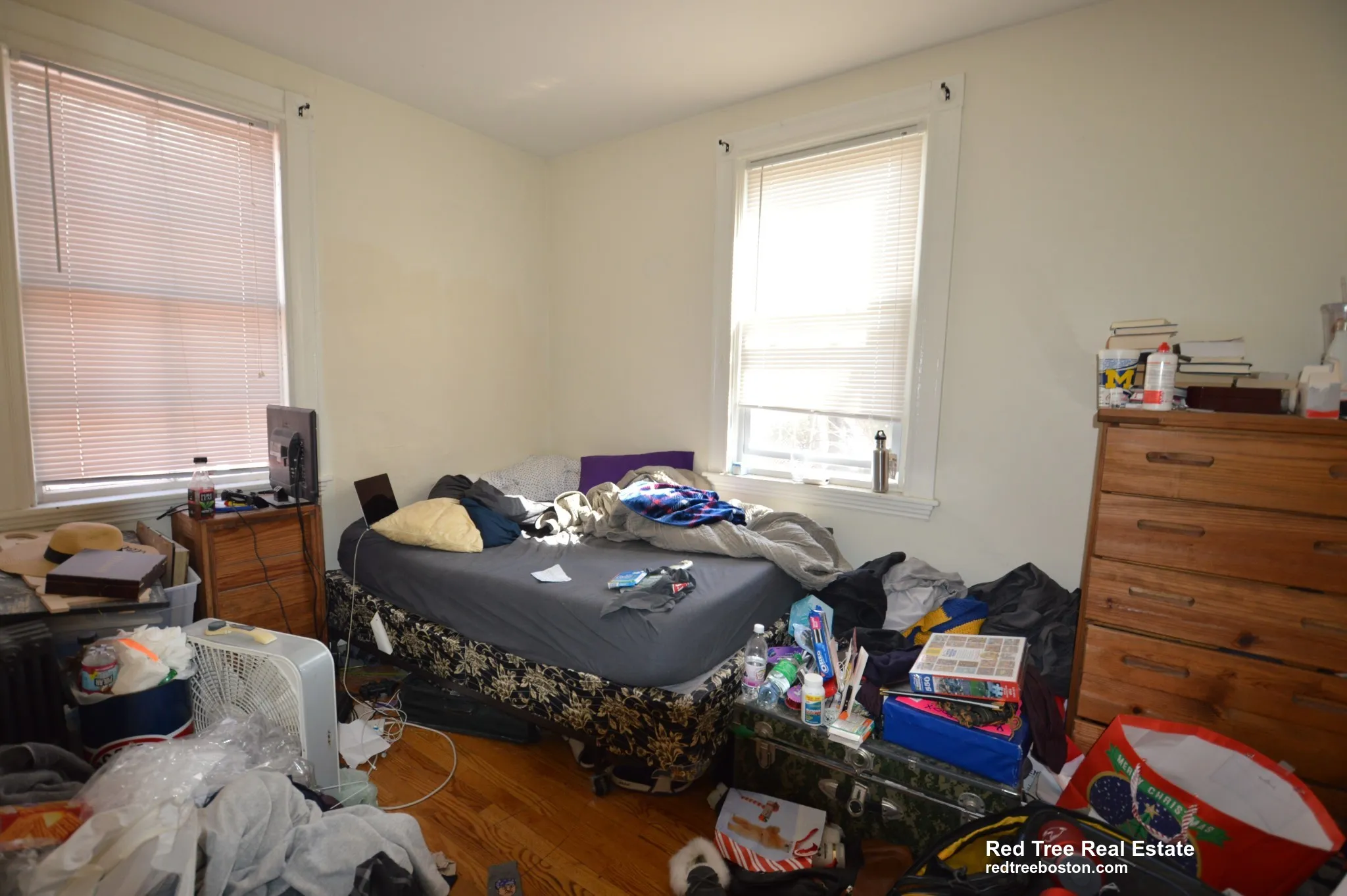 5 Murdock Ter, Brighton