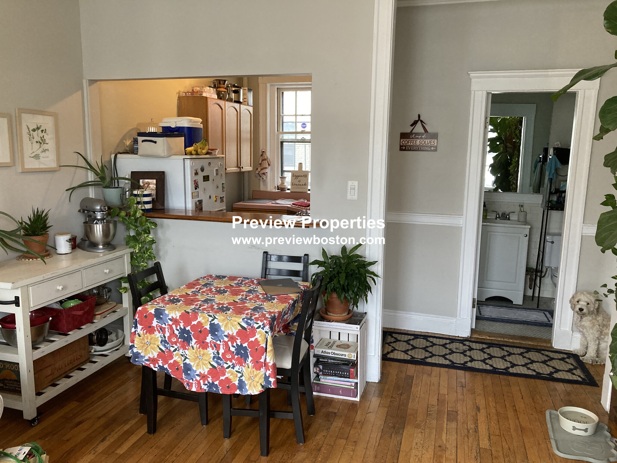 1572 Commonwealth Ave, Brighton