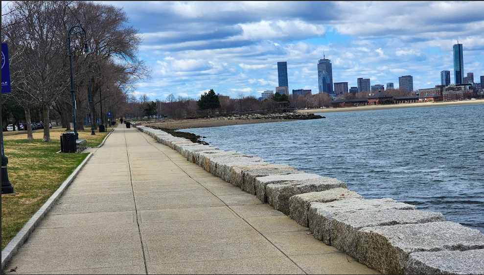 1 South Point Dr, Dorchester