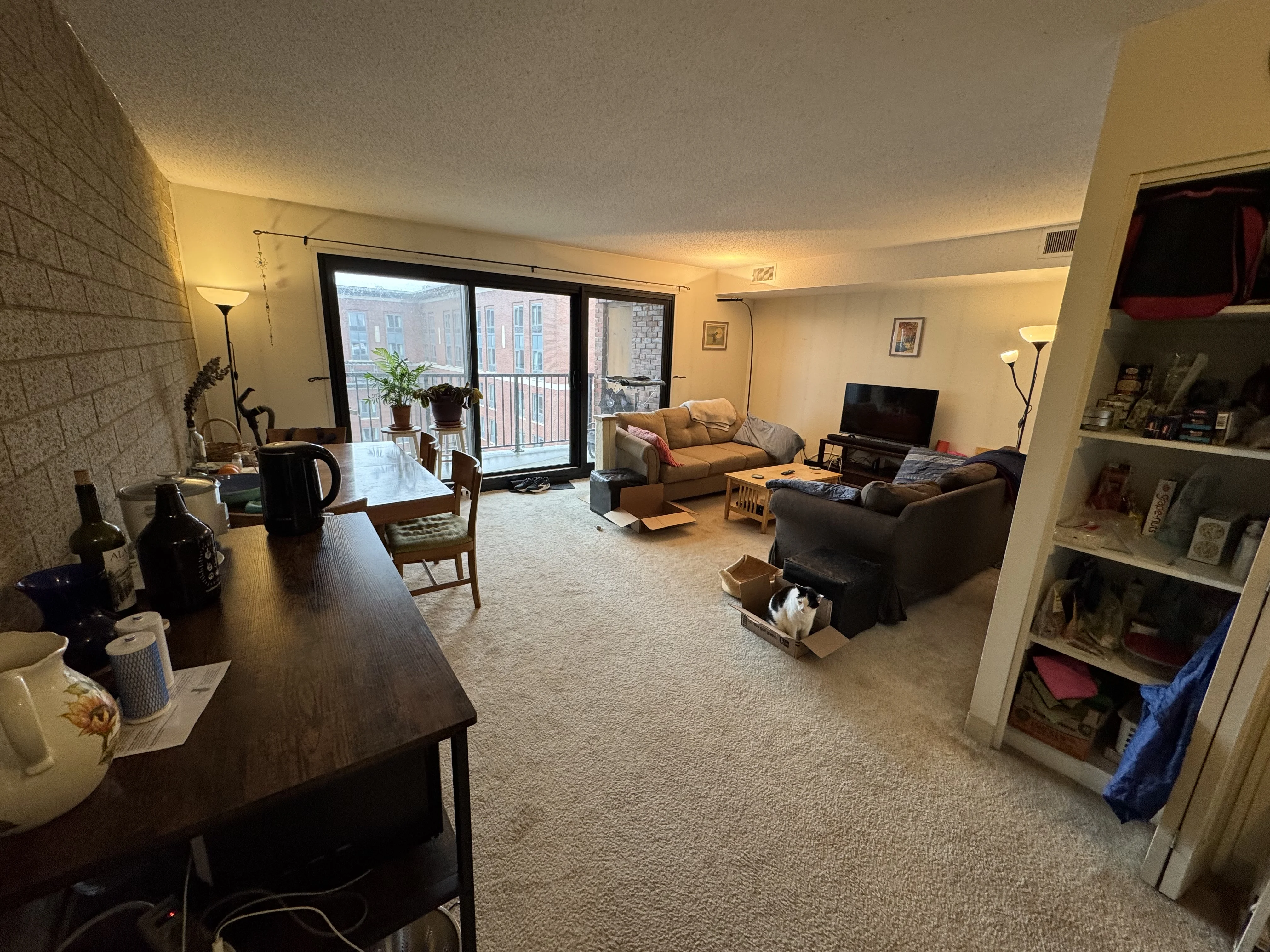 49 Marion St, Coolidge Corner