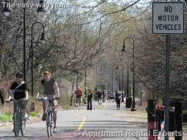 5 Clyde St, Davis Square