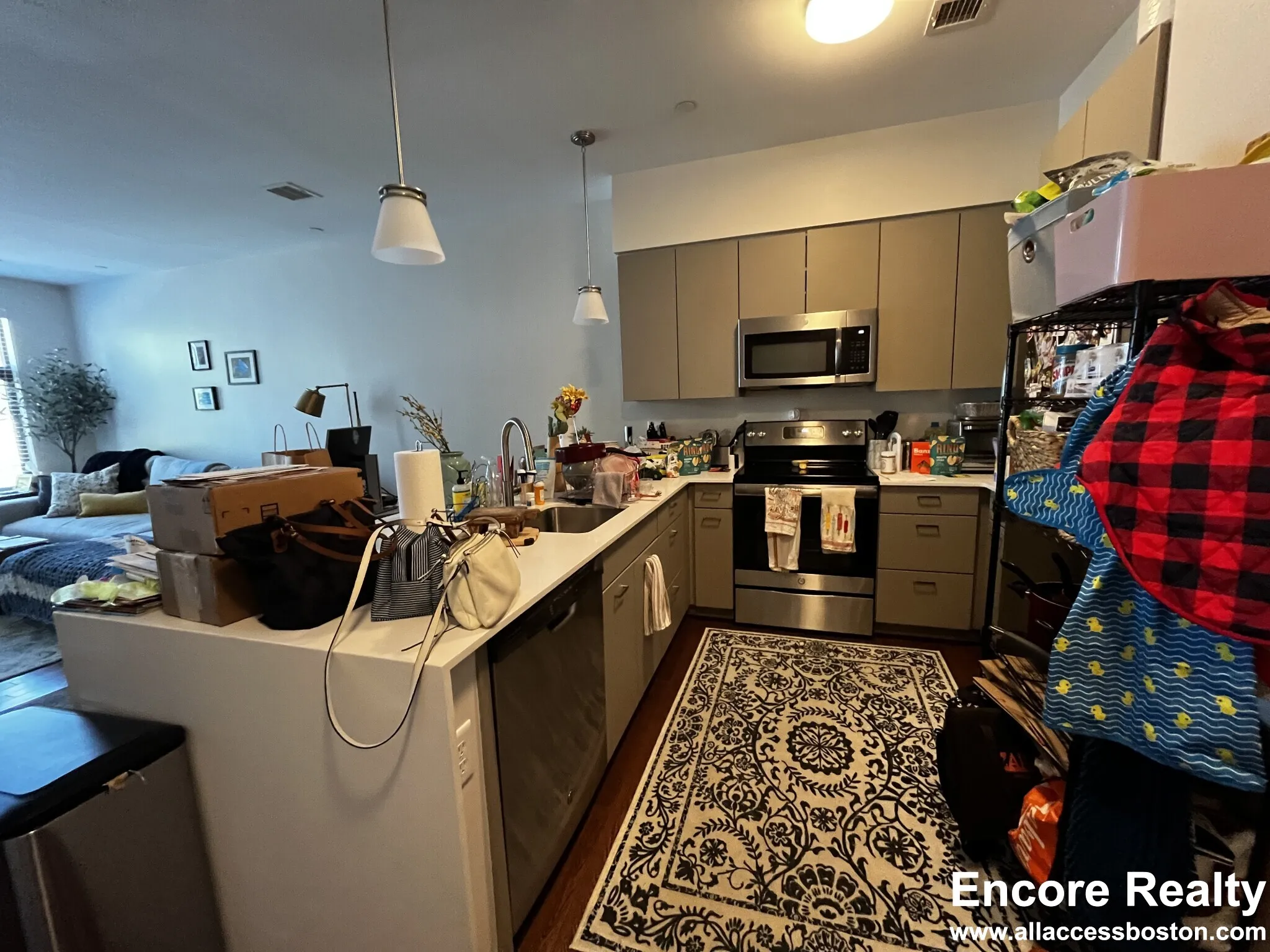 455 Harvard St, North Brookline