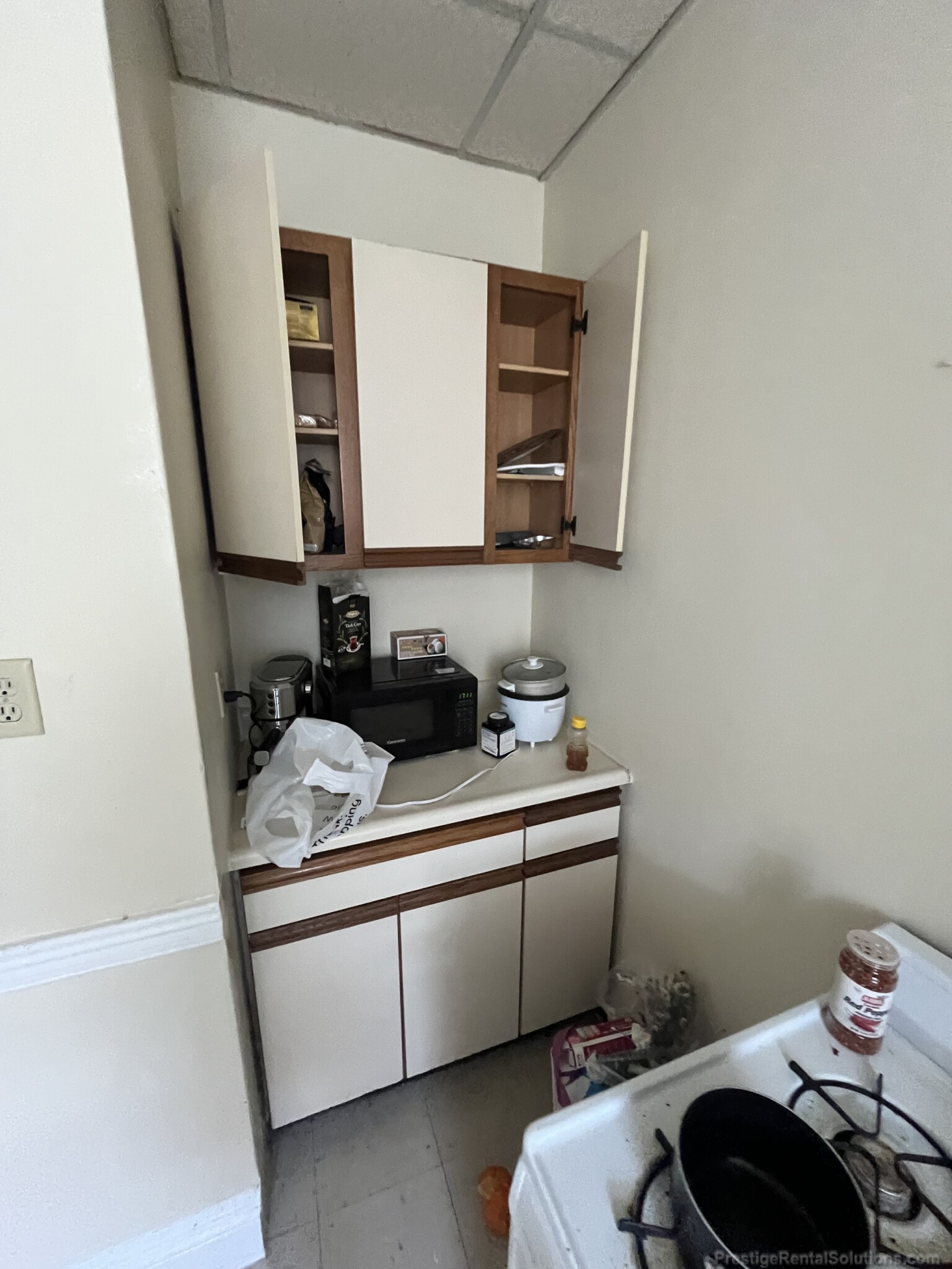 159 Kelton St, Brighton