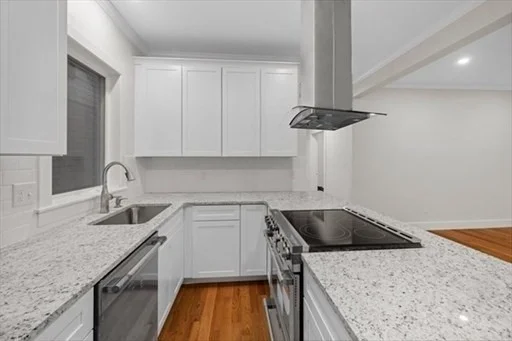 17 Cameron Ave, North Cambridge