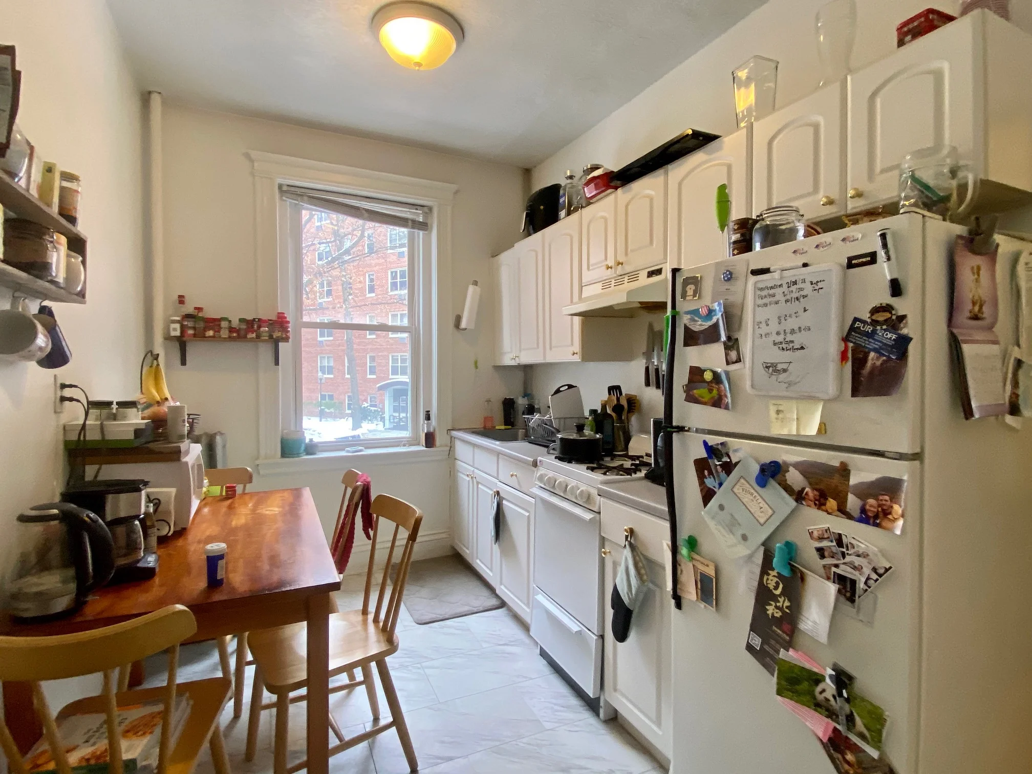 6 Camelot Ct, Brighton