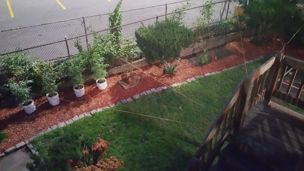 60 Homer Ave, West Cambridge