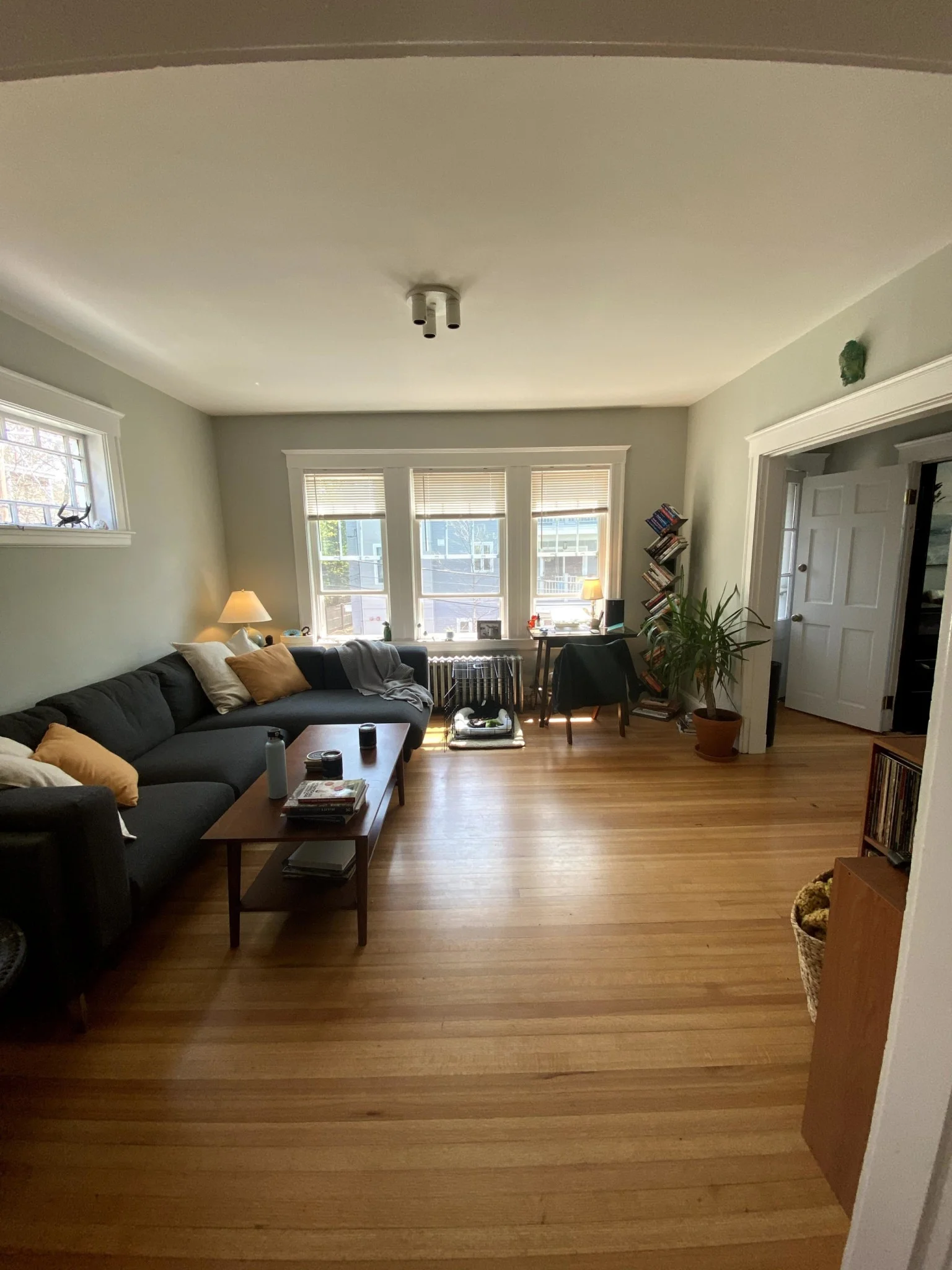 11-15 Stedman St, Jamaica Plain