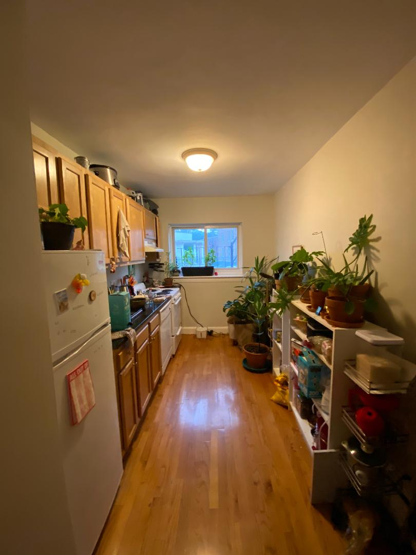 1 bed, 1 bath apartment for rent at 61 Selkirk Rd Unit 4.., Brighton — photo 3 of 3