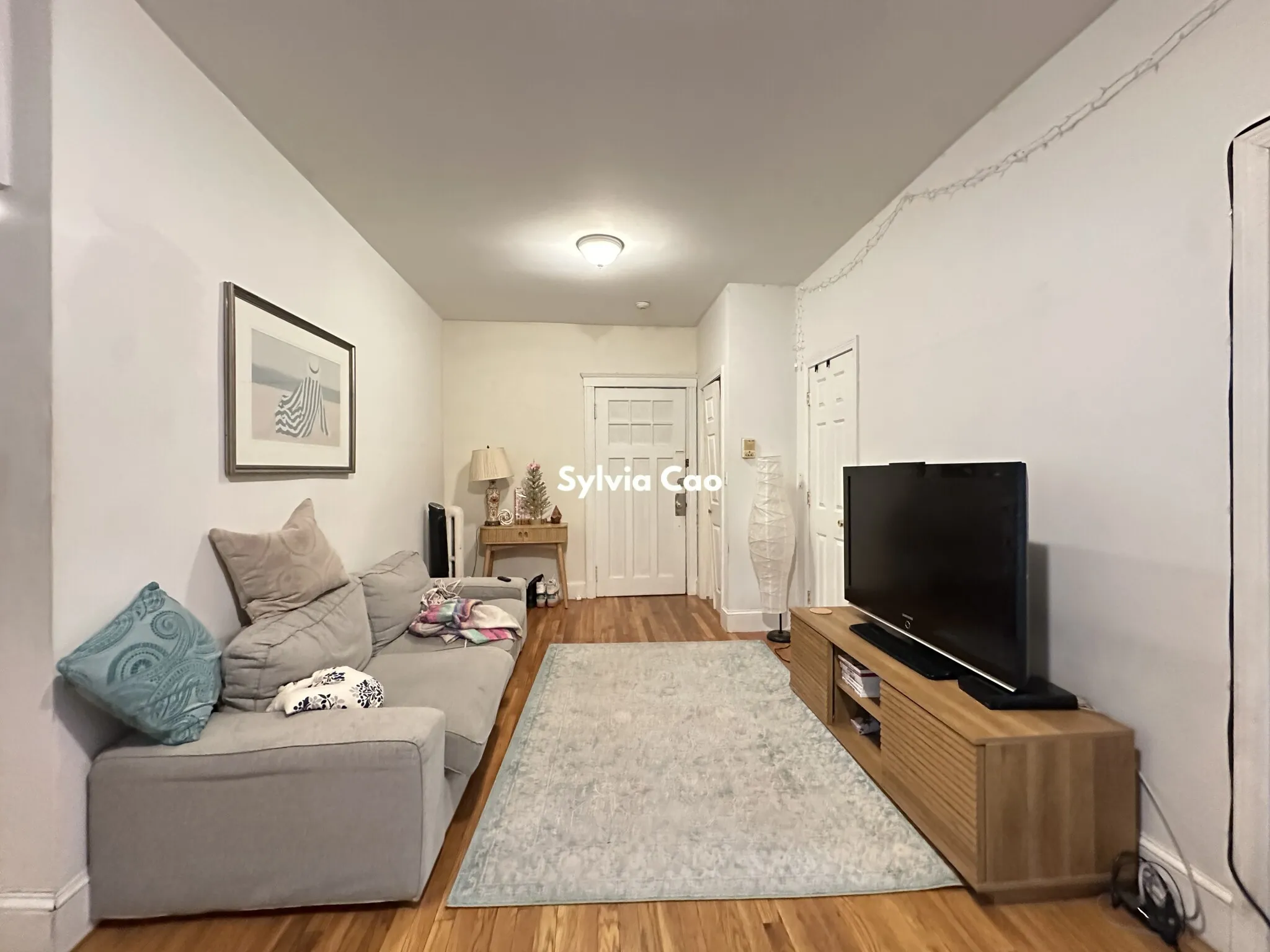 56 Egmont St, North Brookline