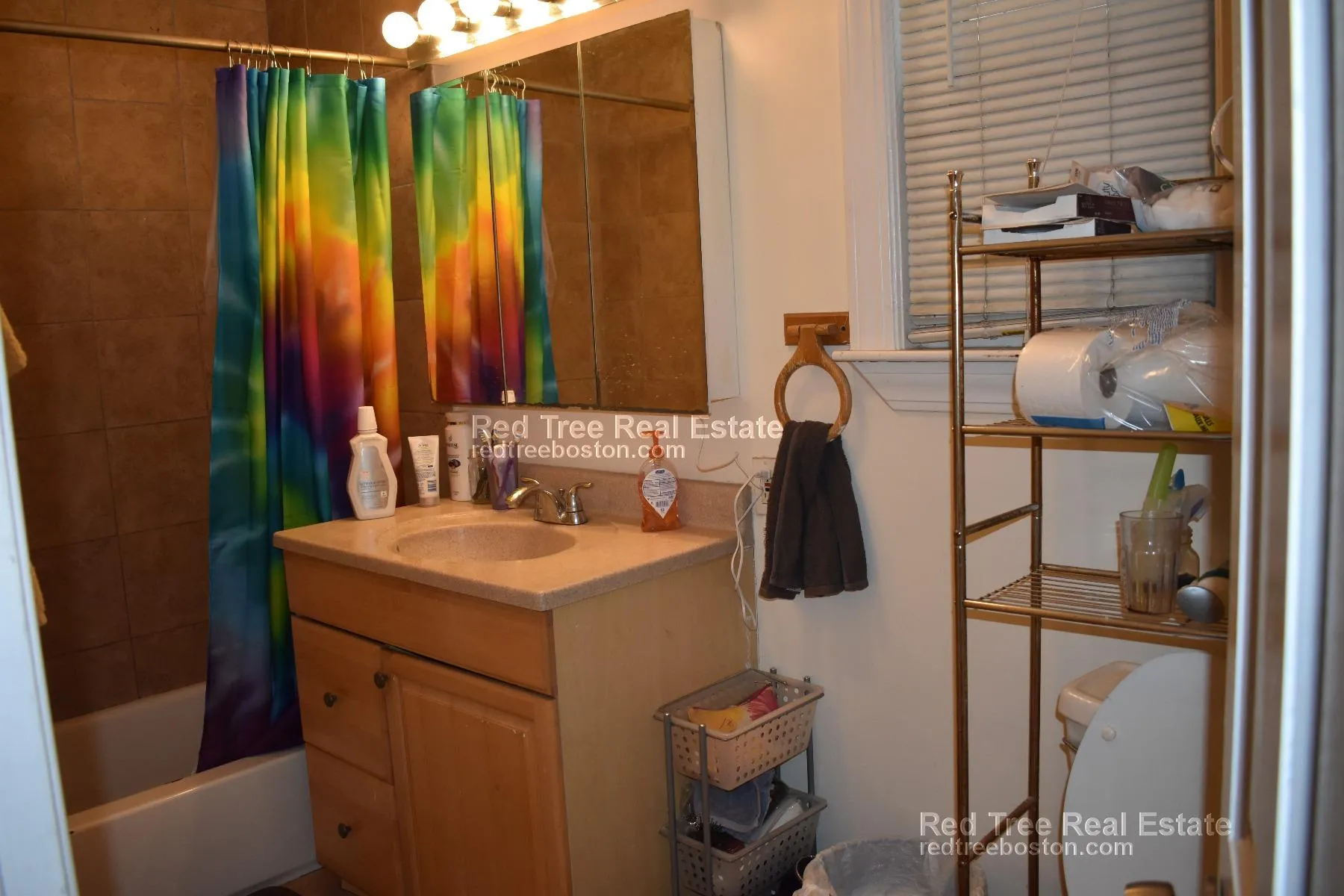 91-93 Calumet St, Mission Hill