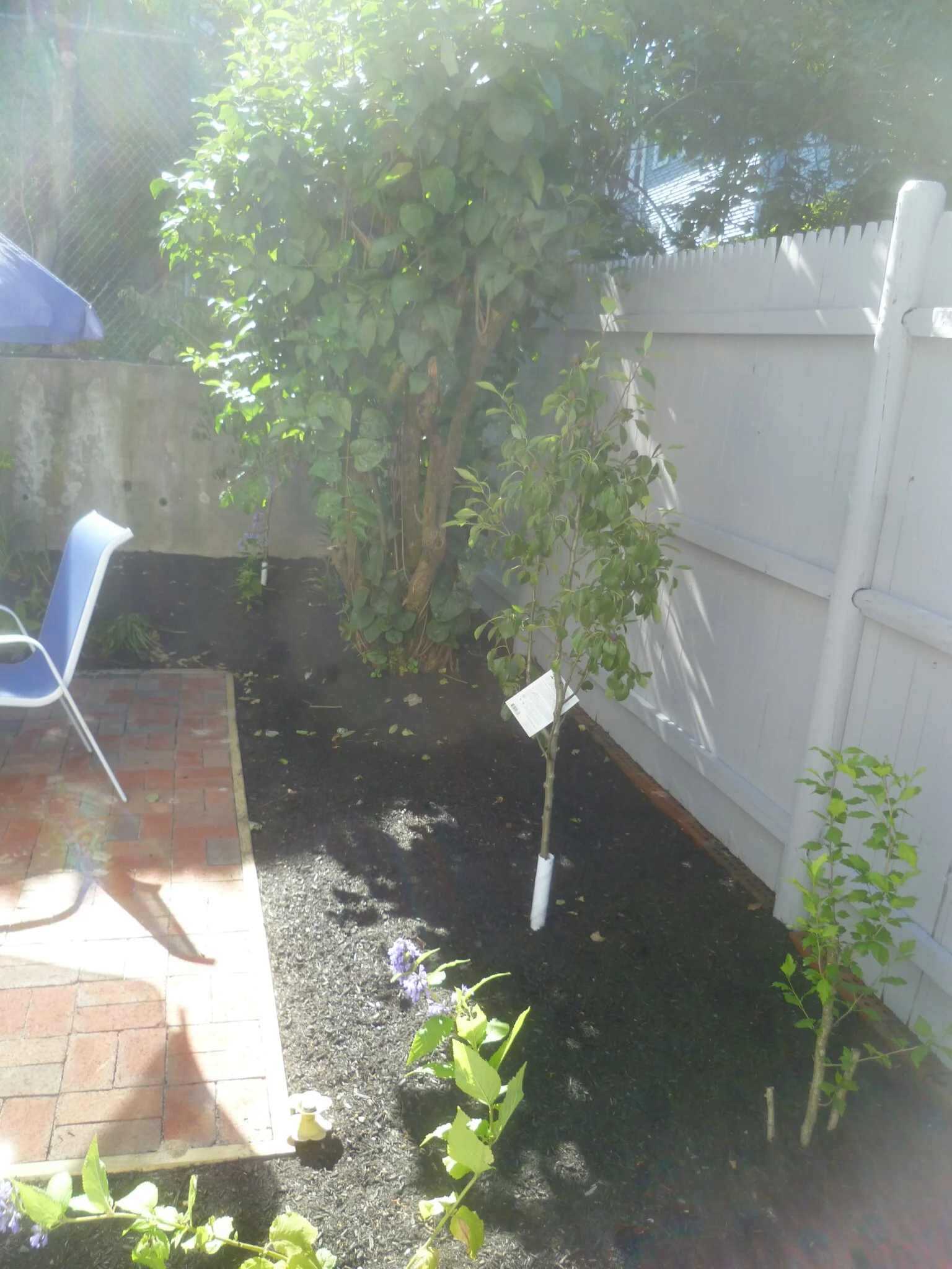 54 Hobson St, Brighton